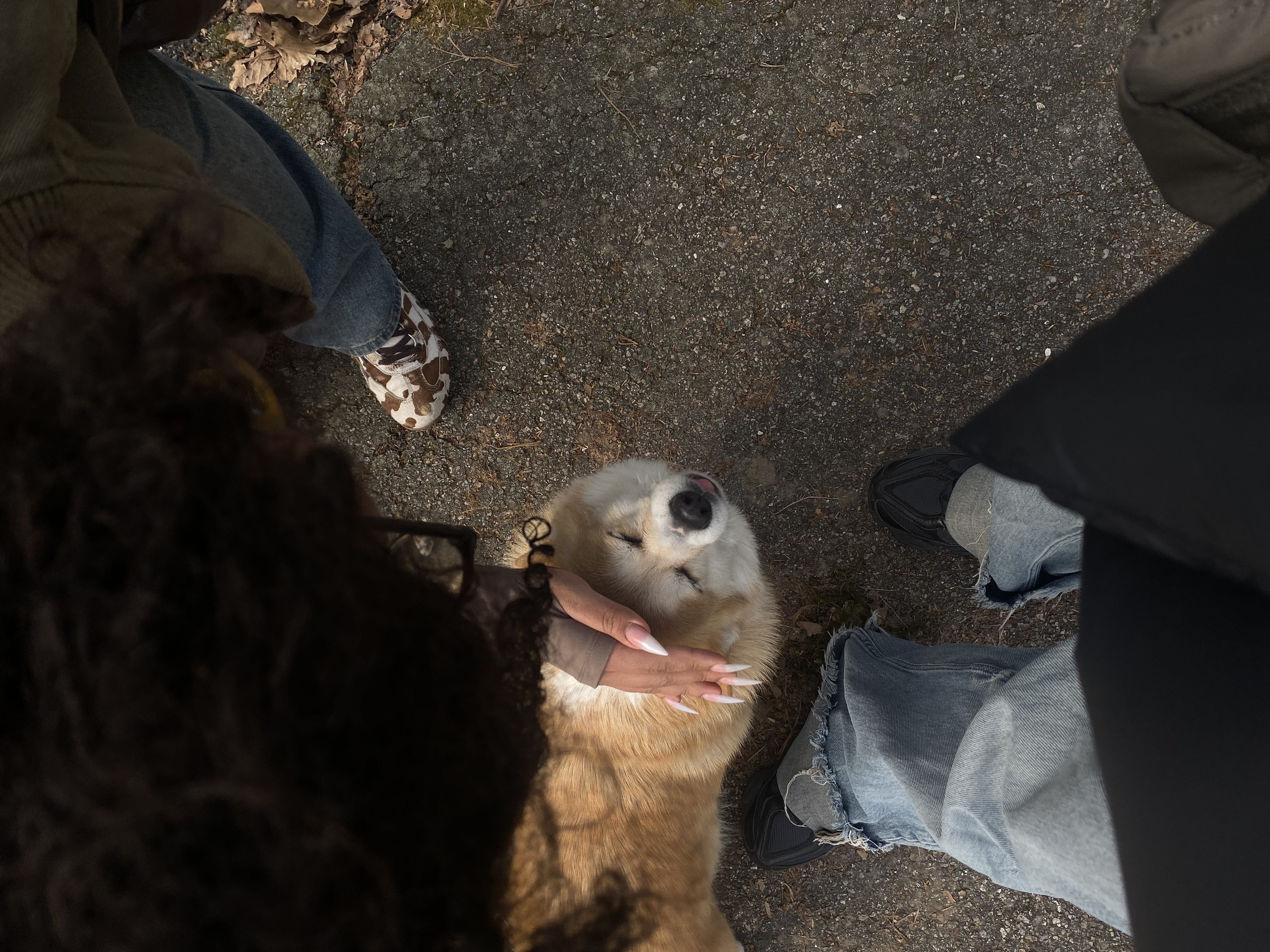 image-5