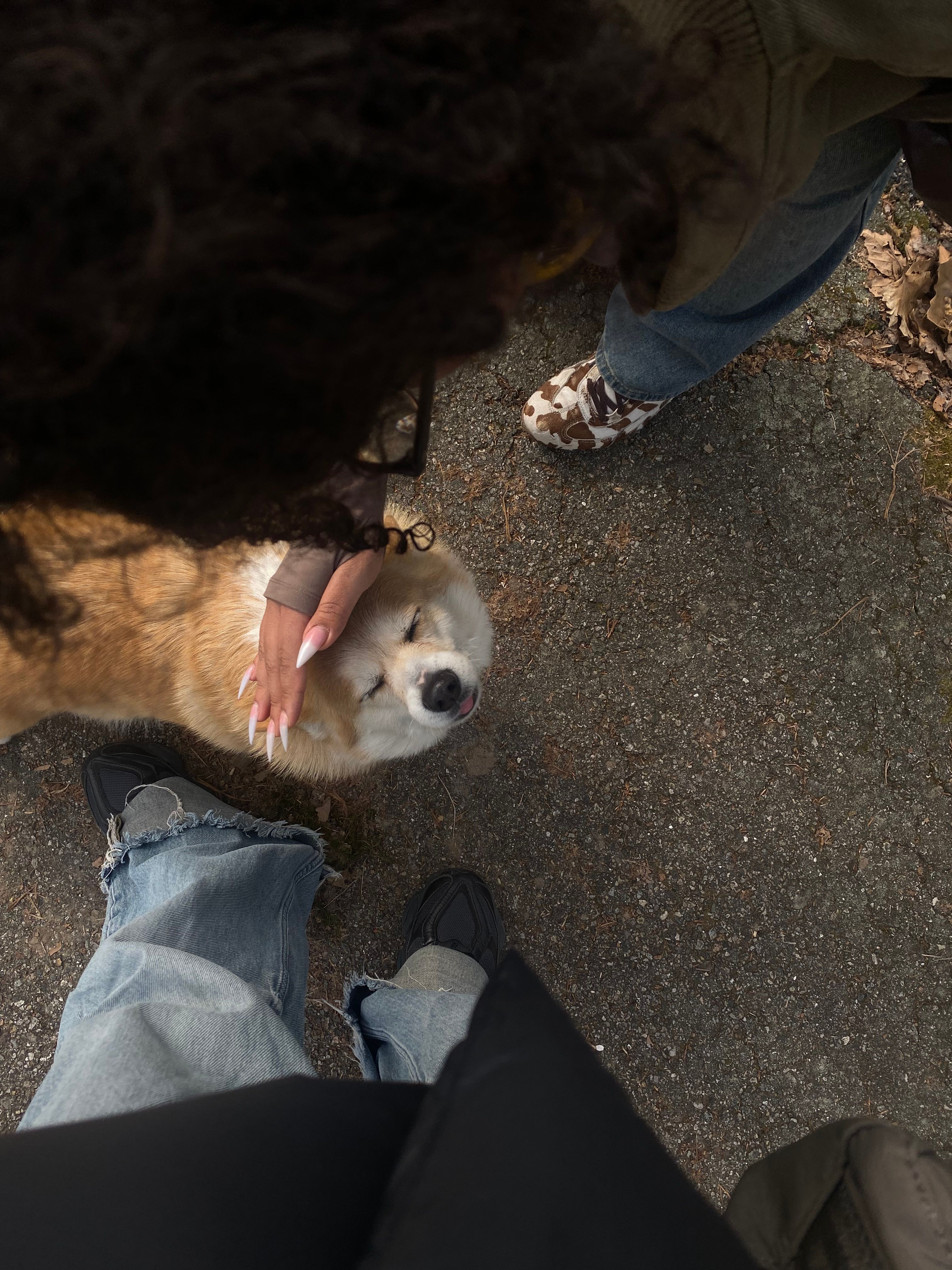 image-5