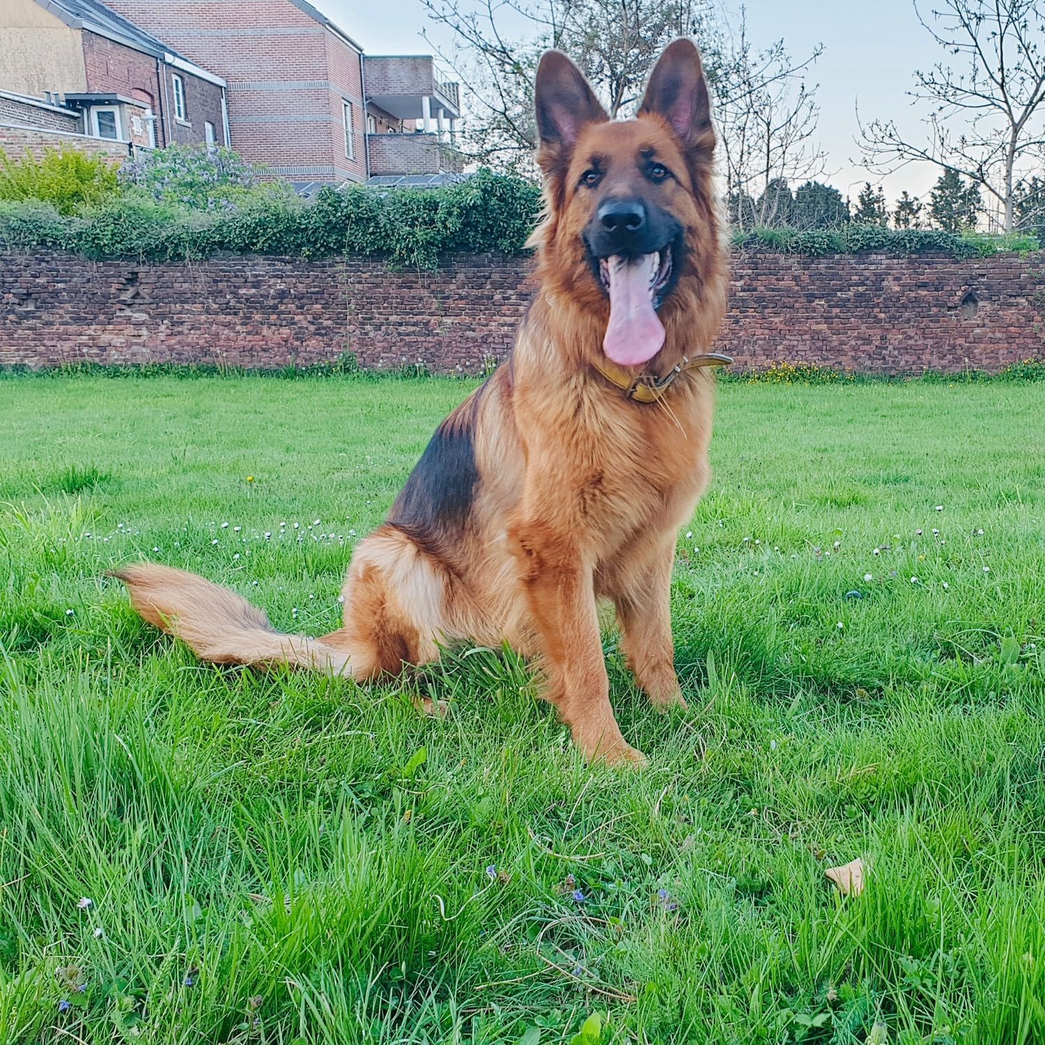 Ragnar