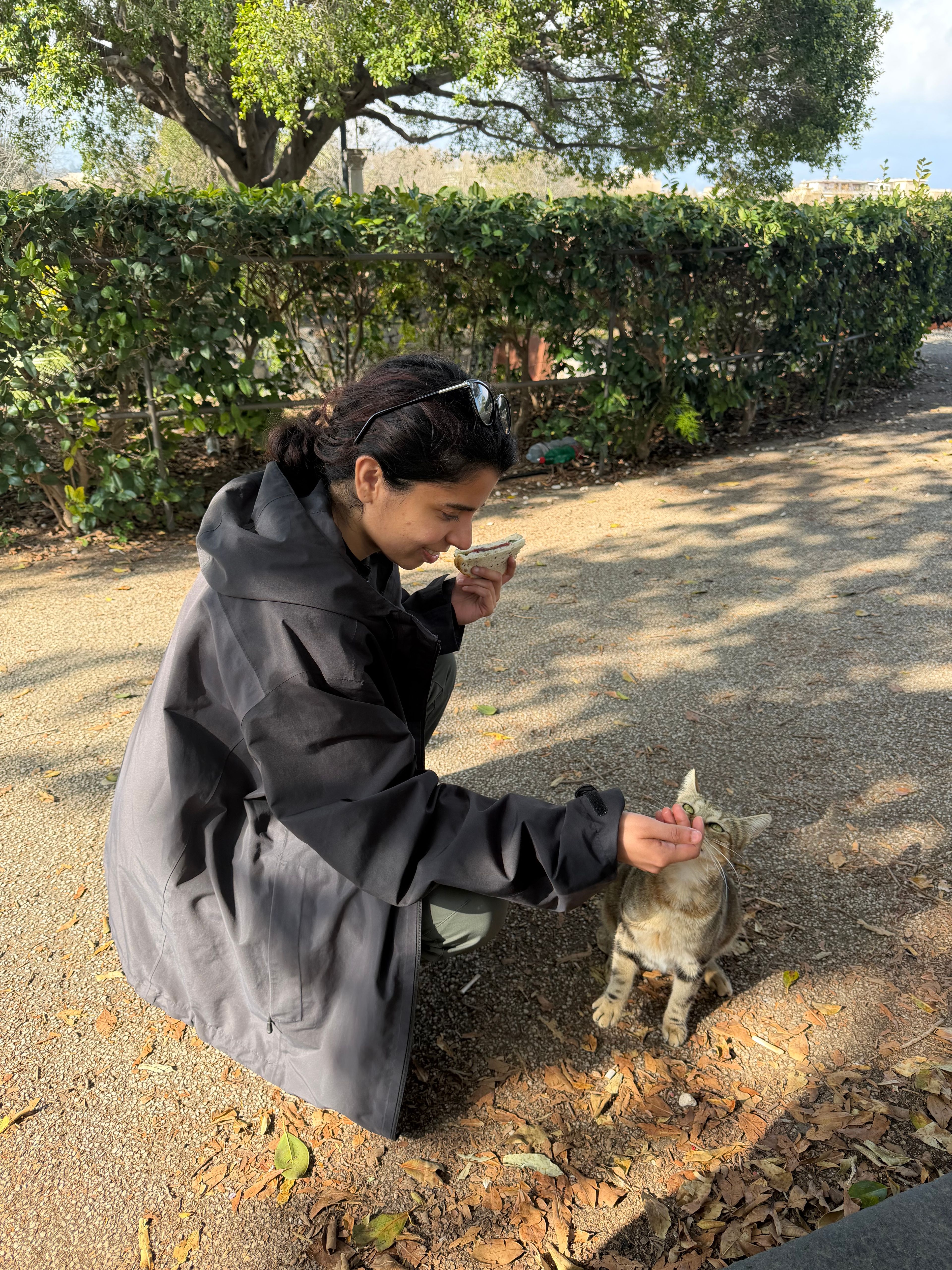 image-6