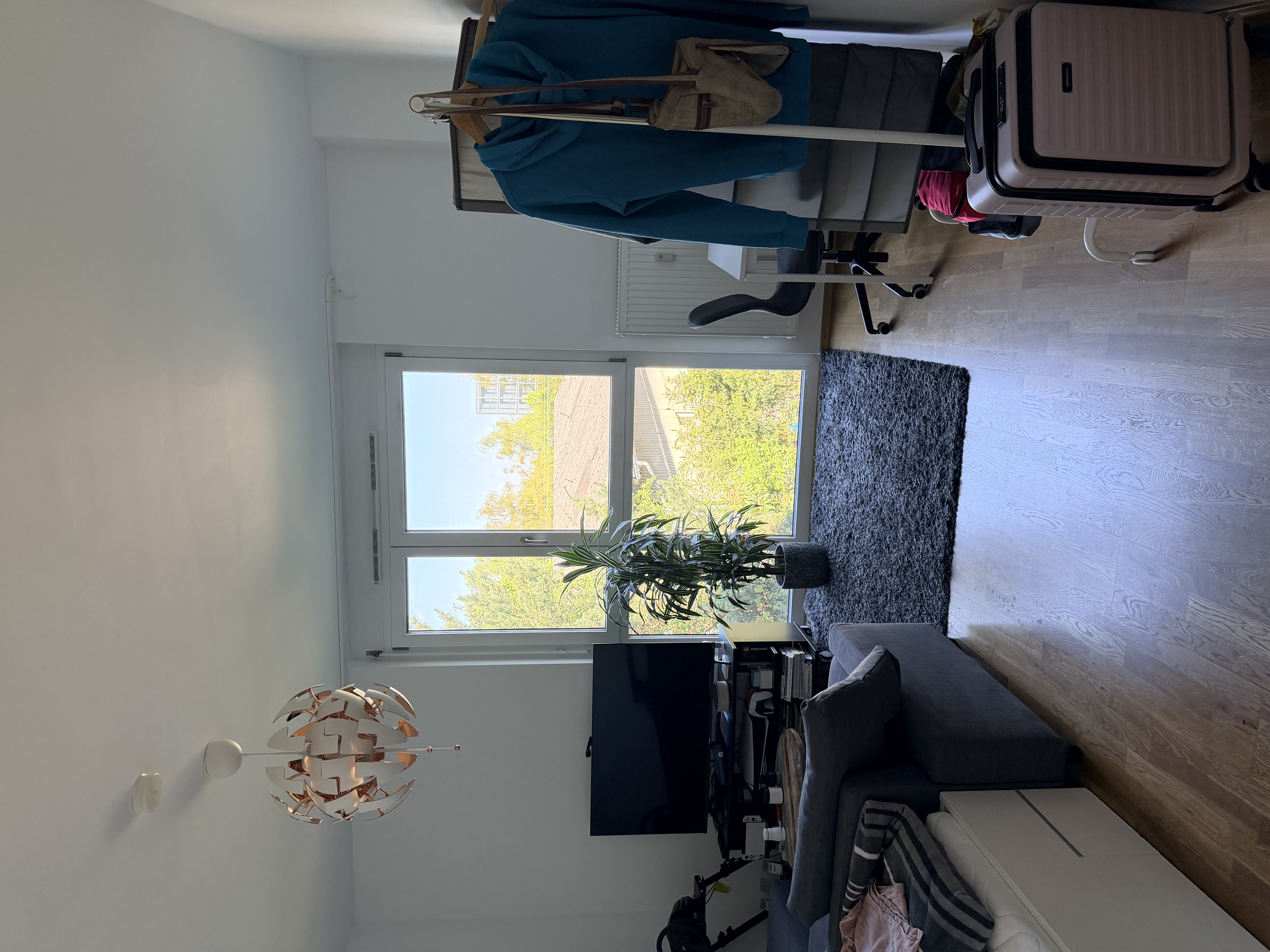 image-17