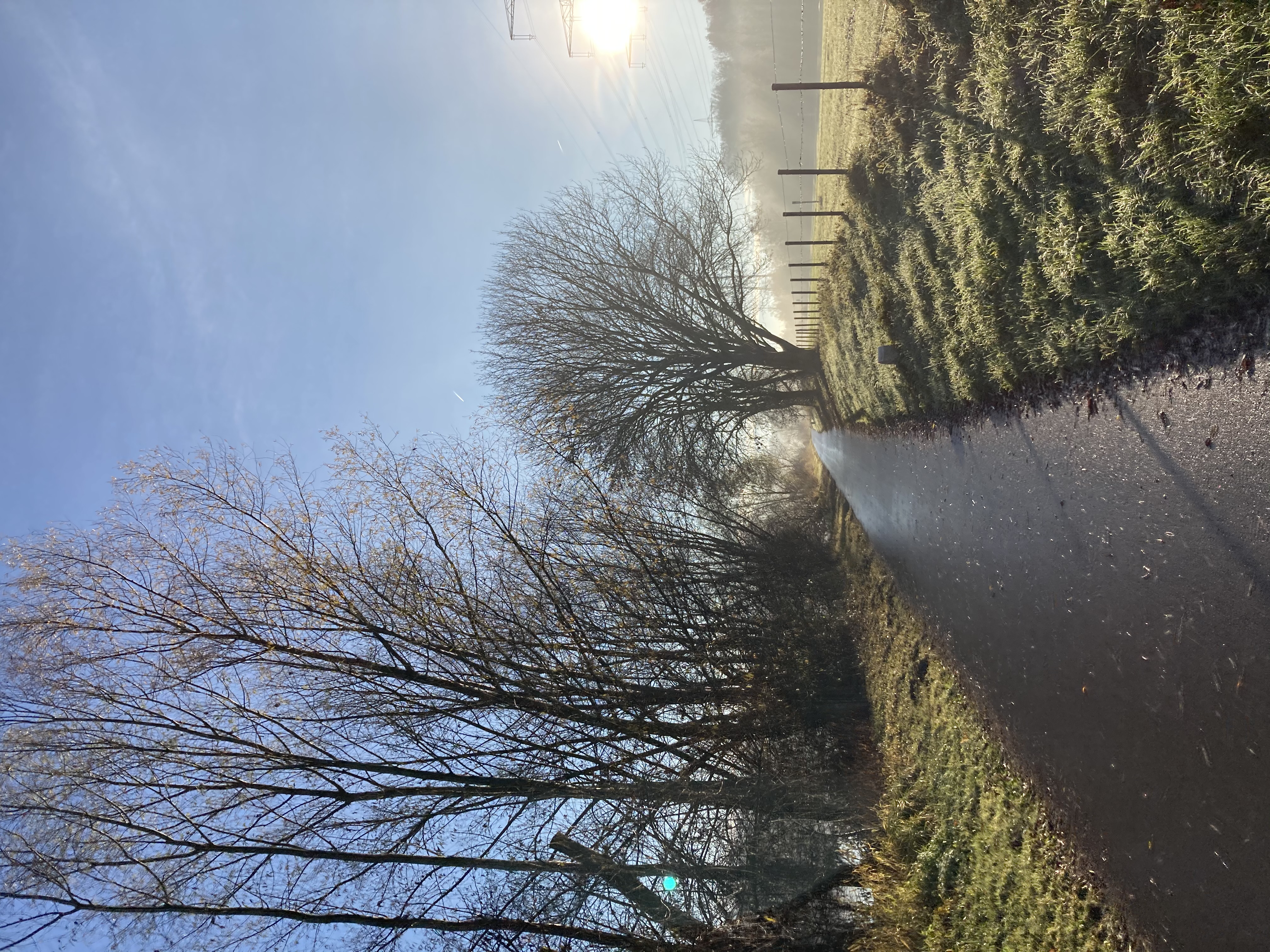 image-14