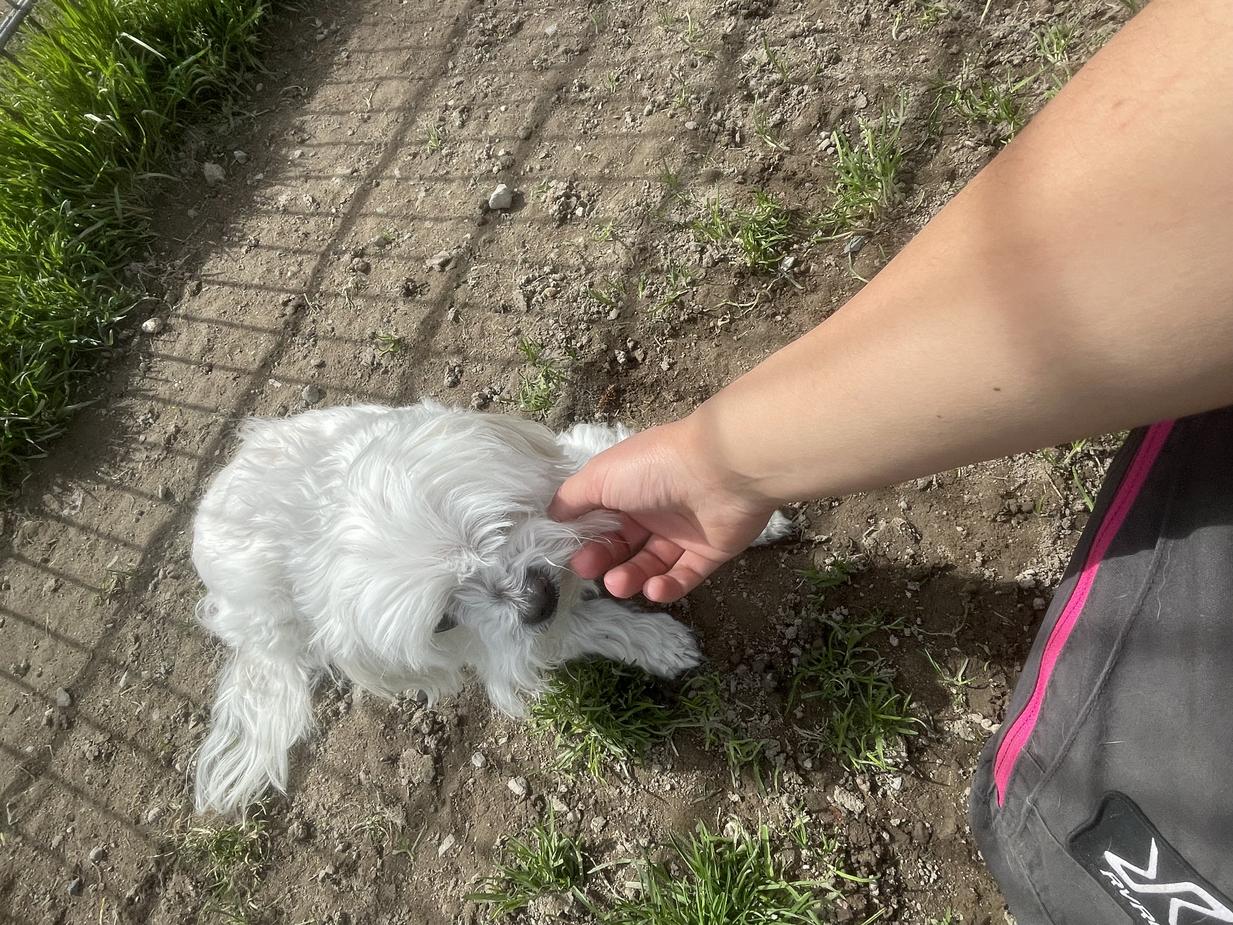 image-11