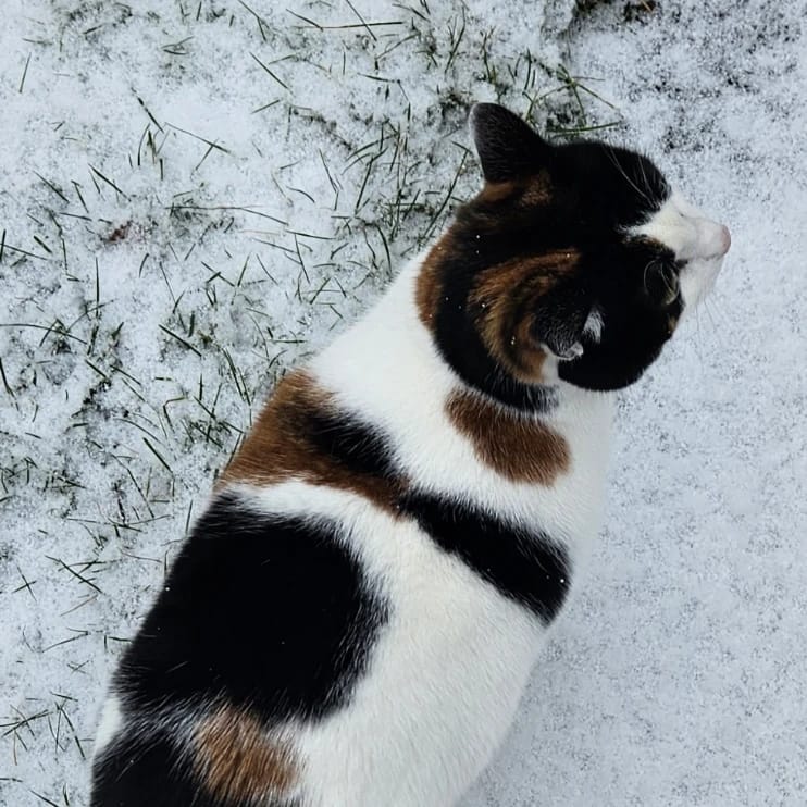 Millie
