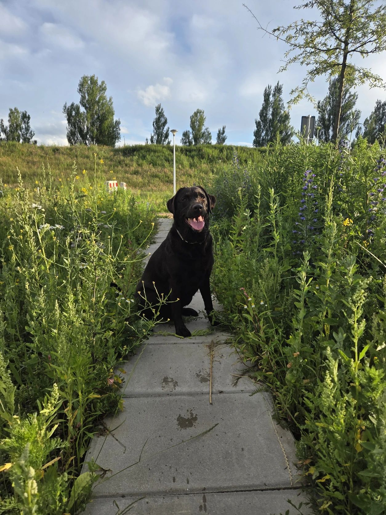 image-9
