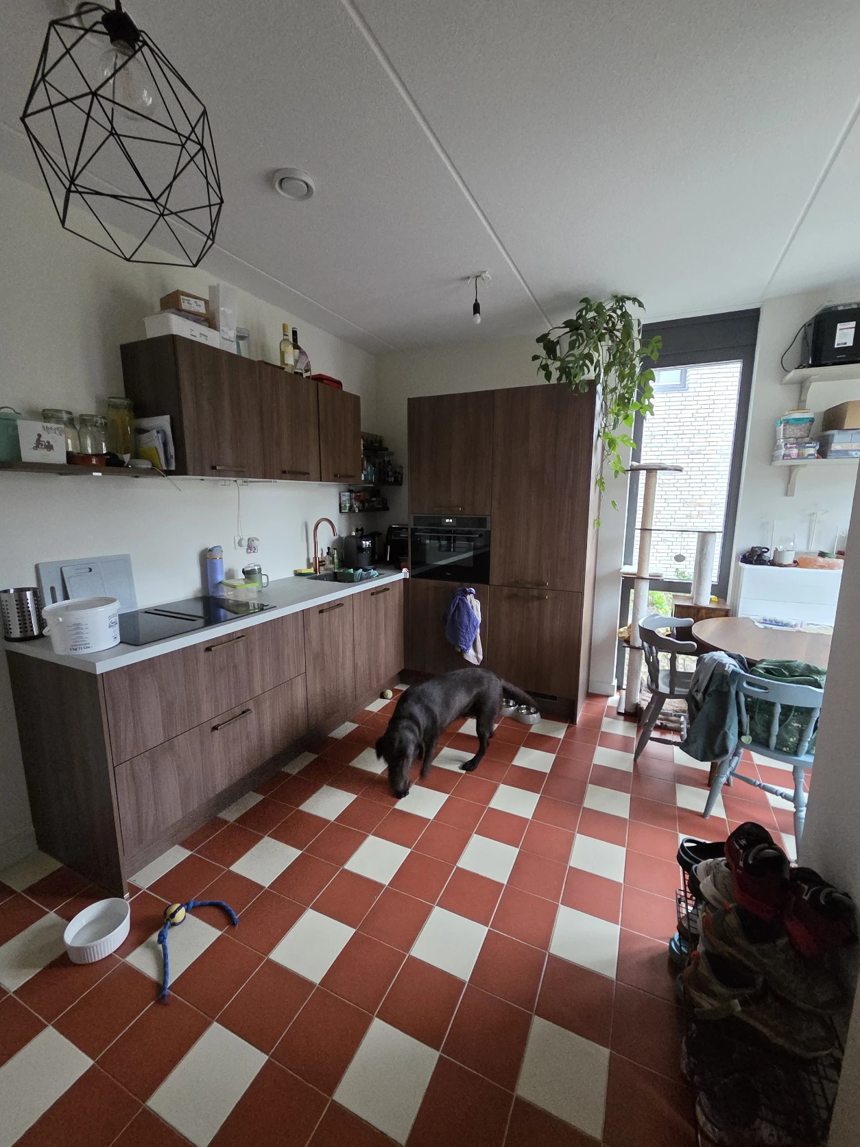 image-16