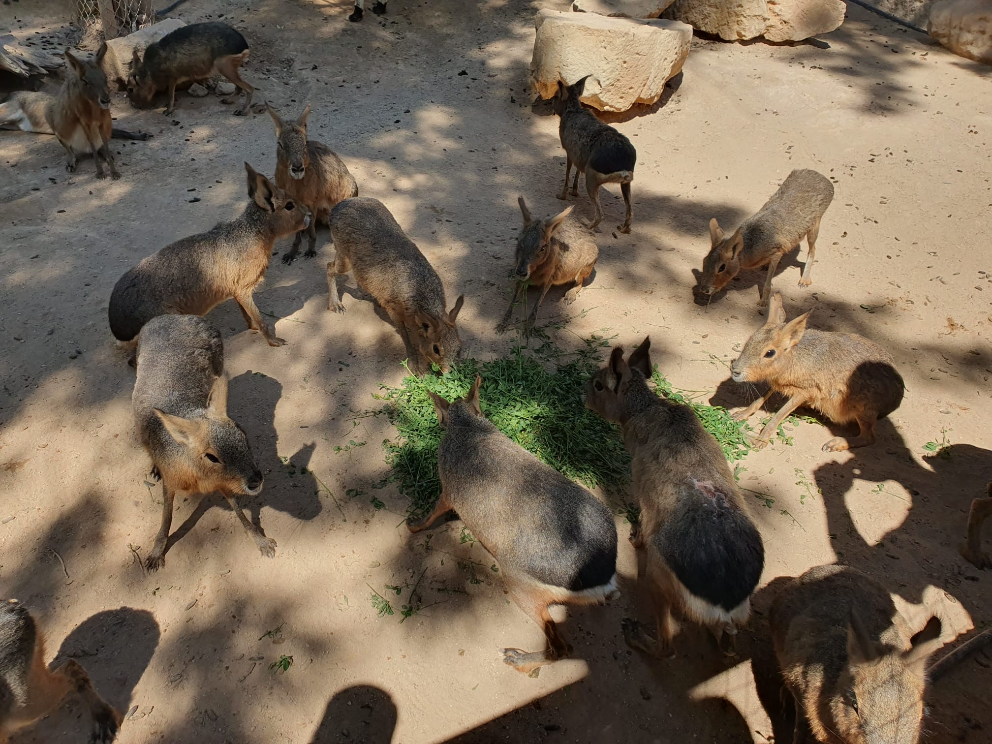 image-8