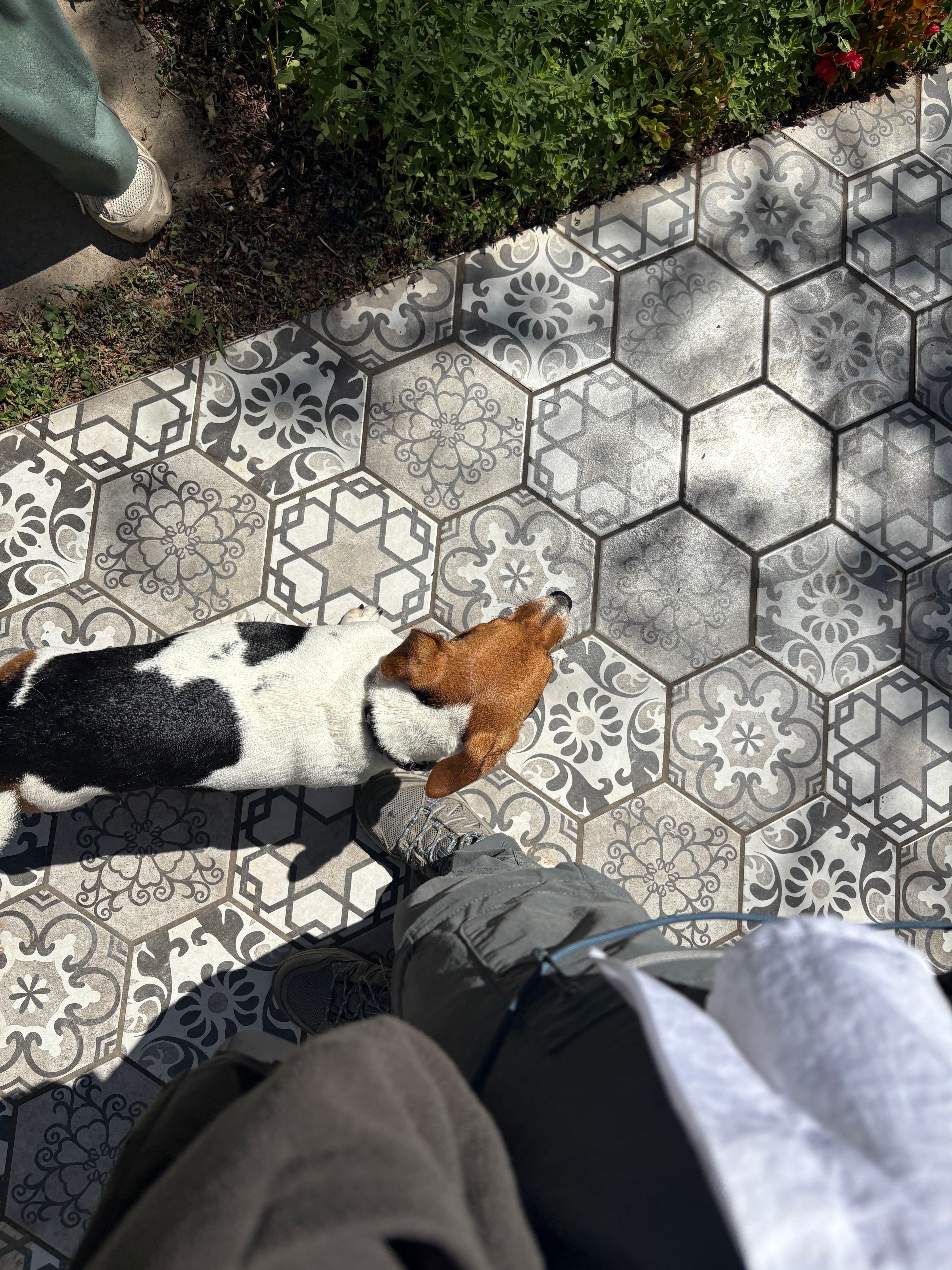 image-10