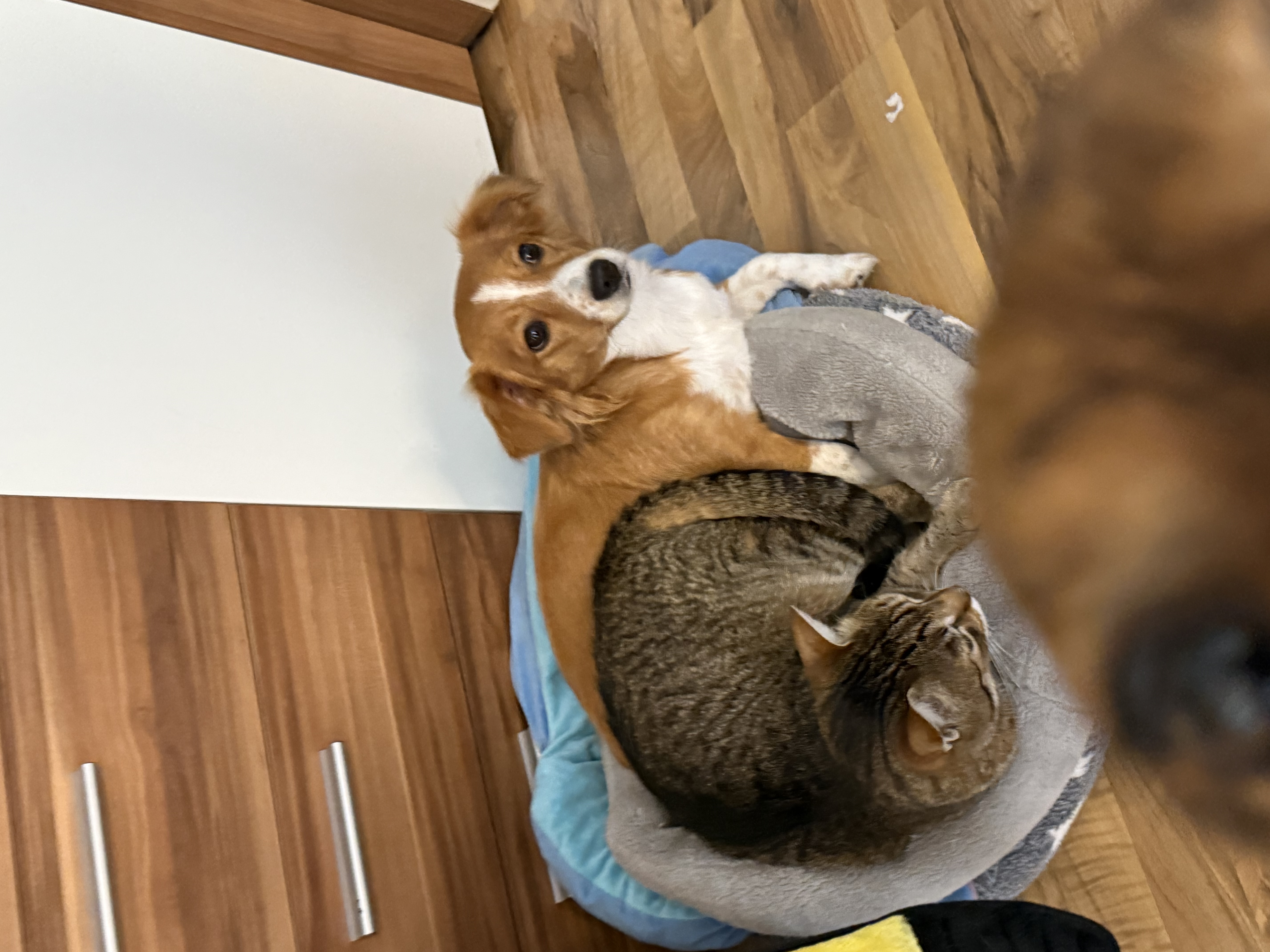 image-15