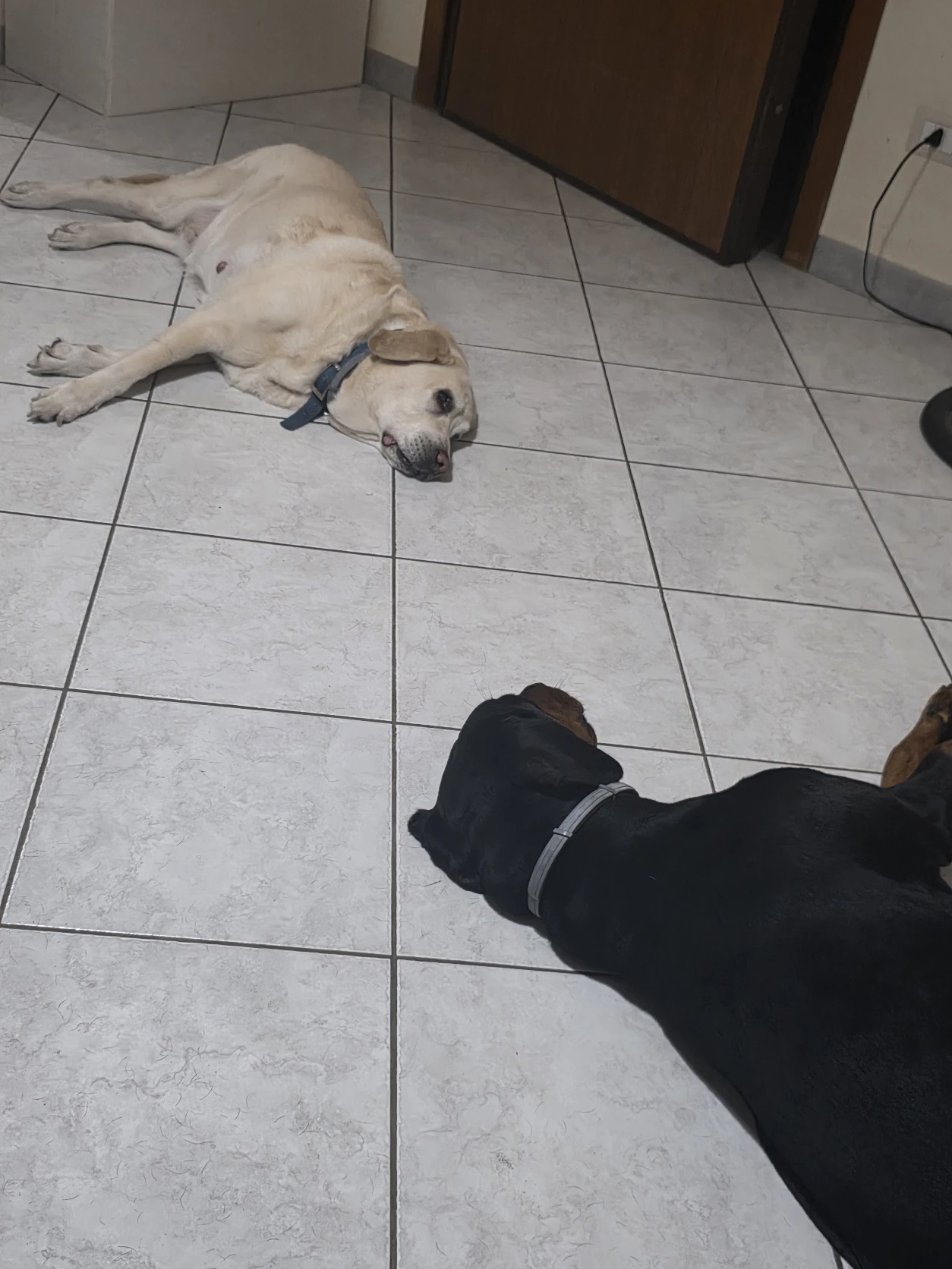 image-41
