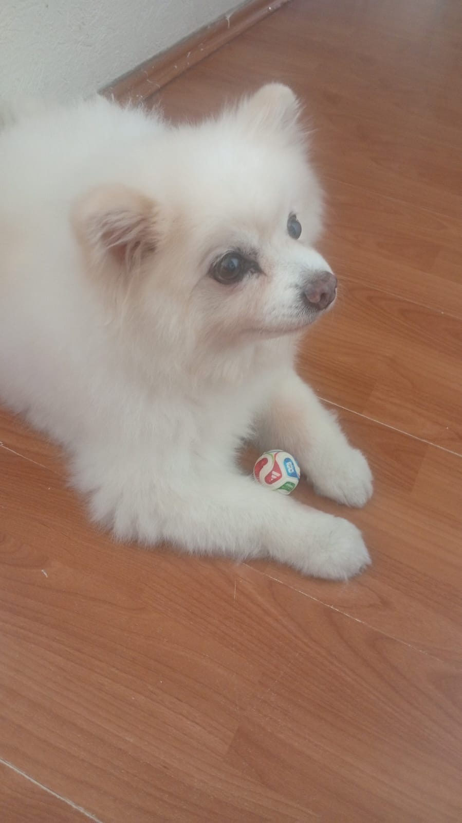image-6
