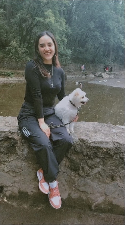 image-4