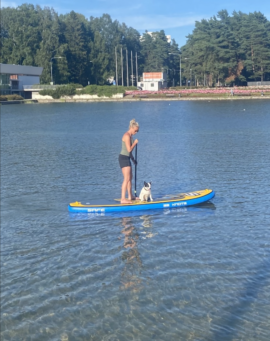 image-10