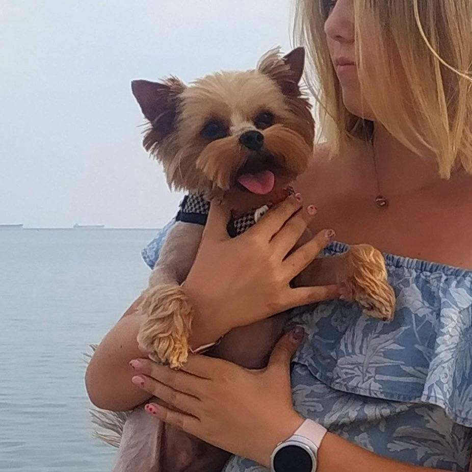 Bosya