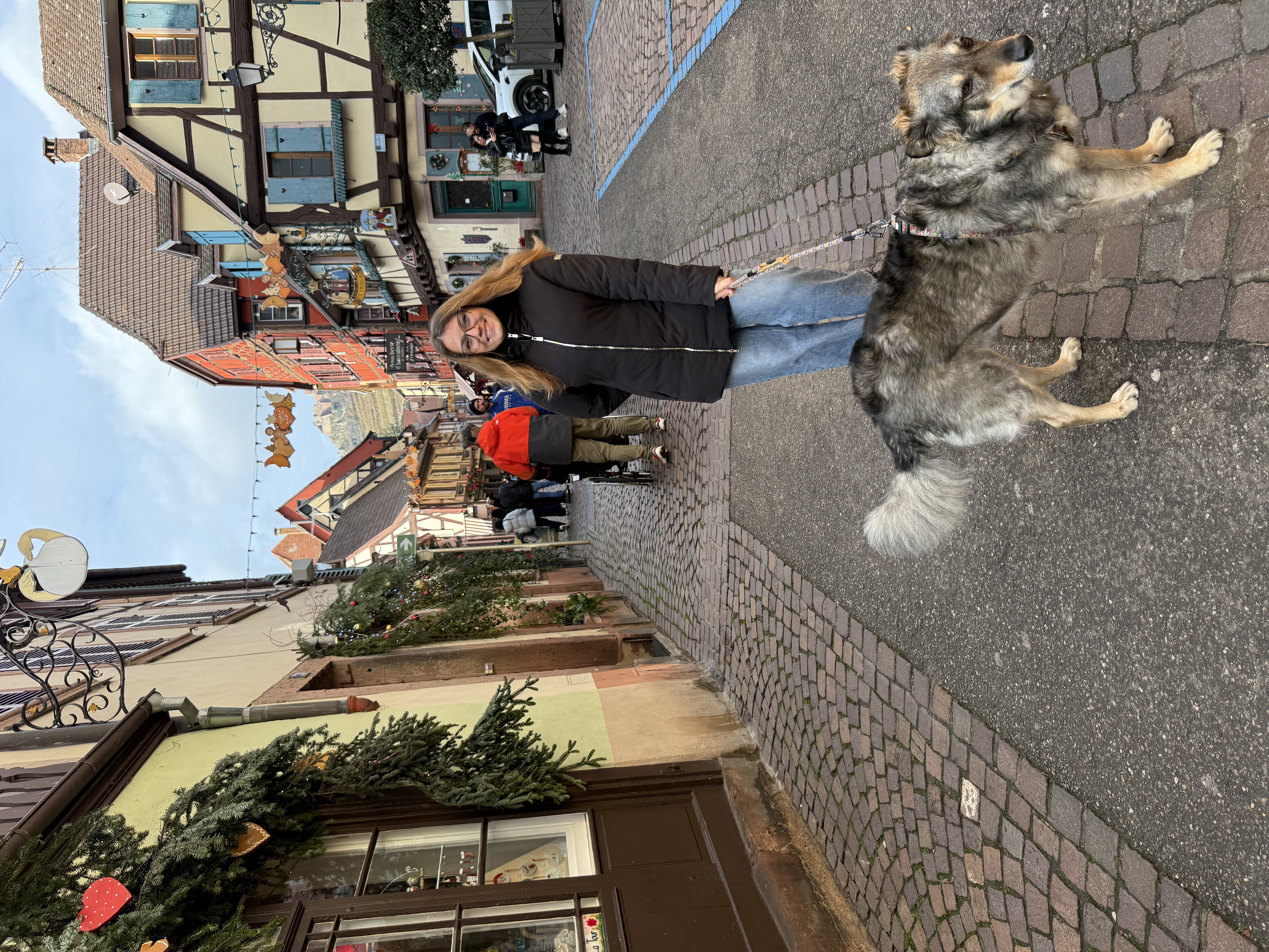 image-20