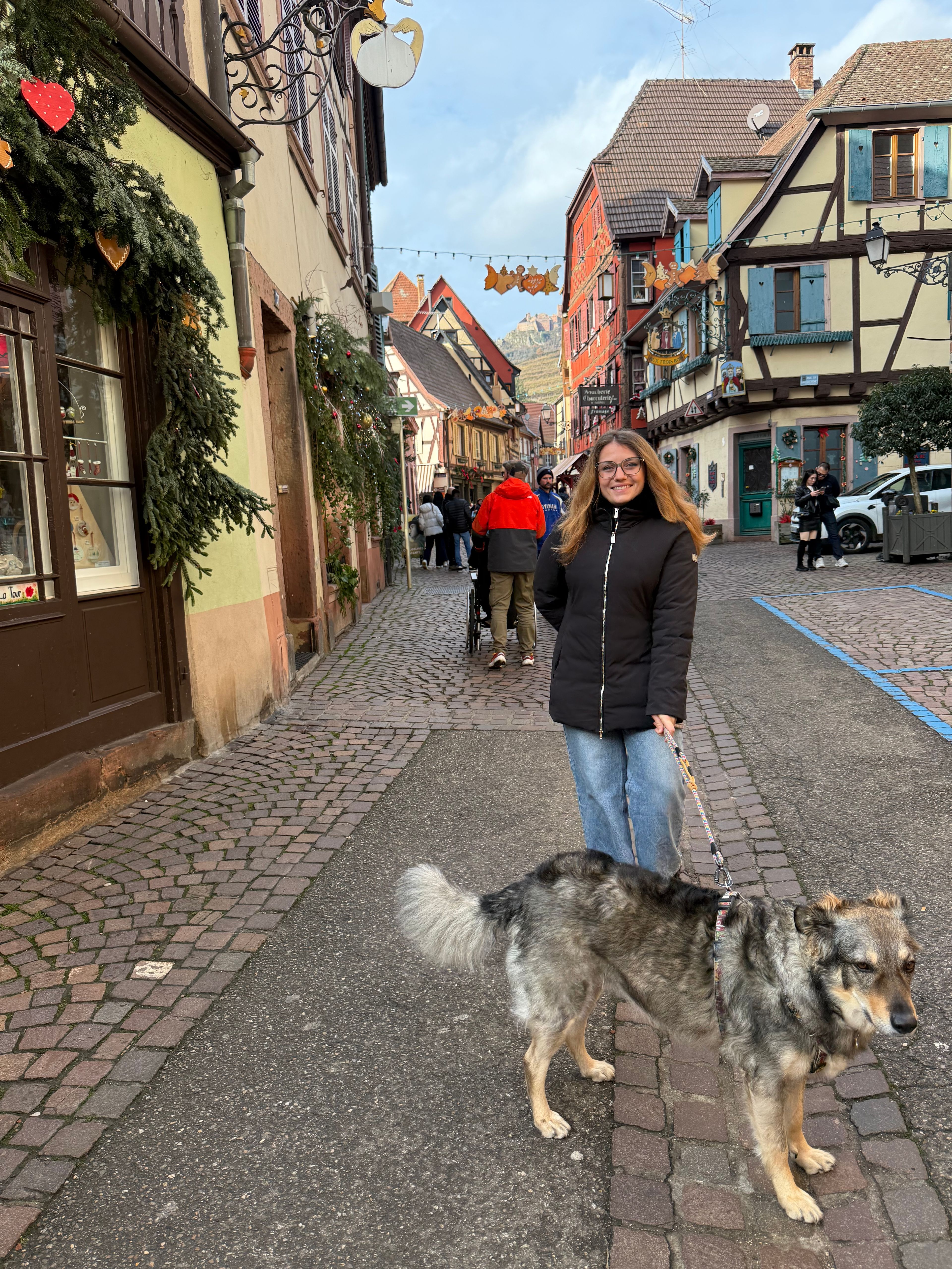 image-20