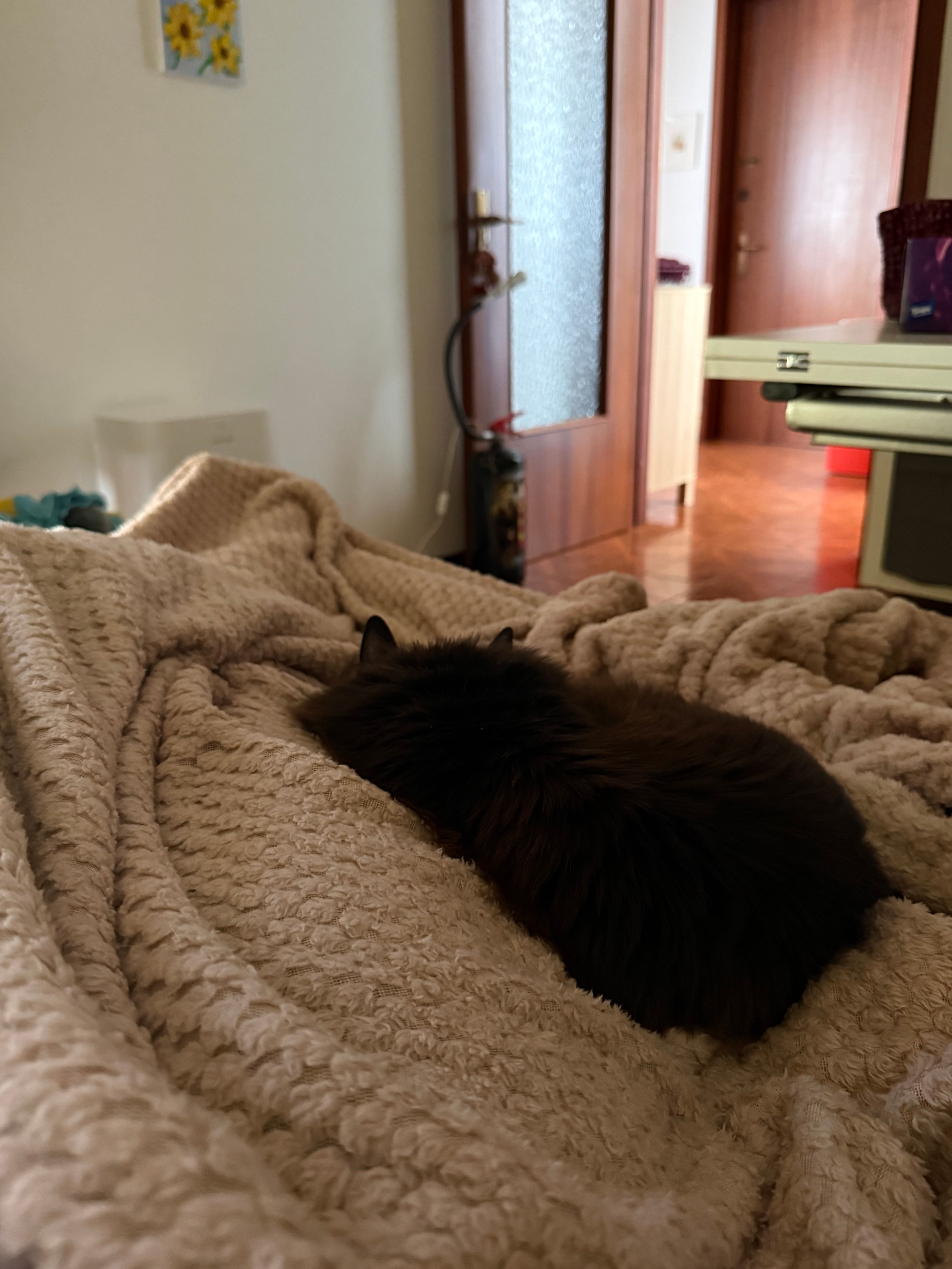 image-13