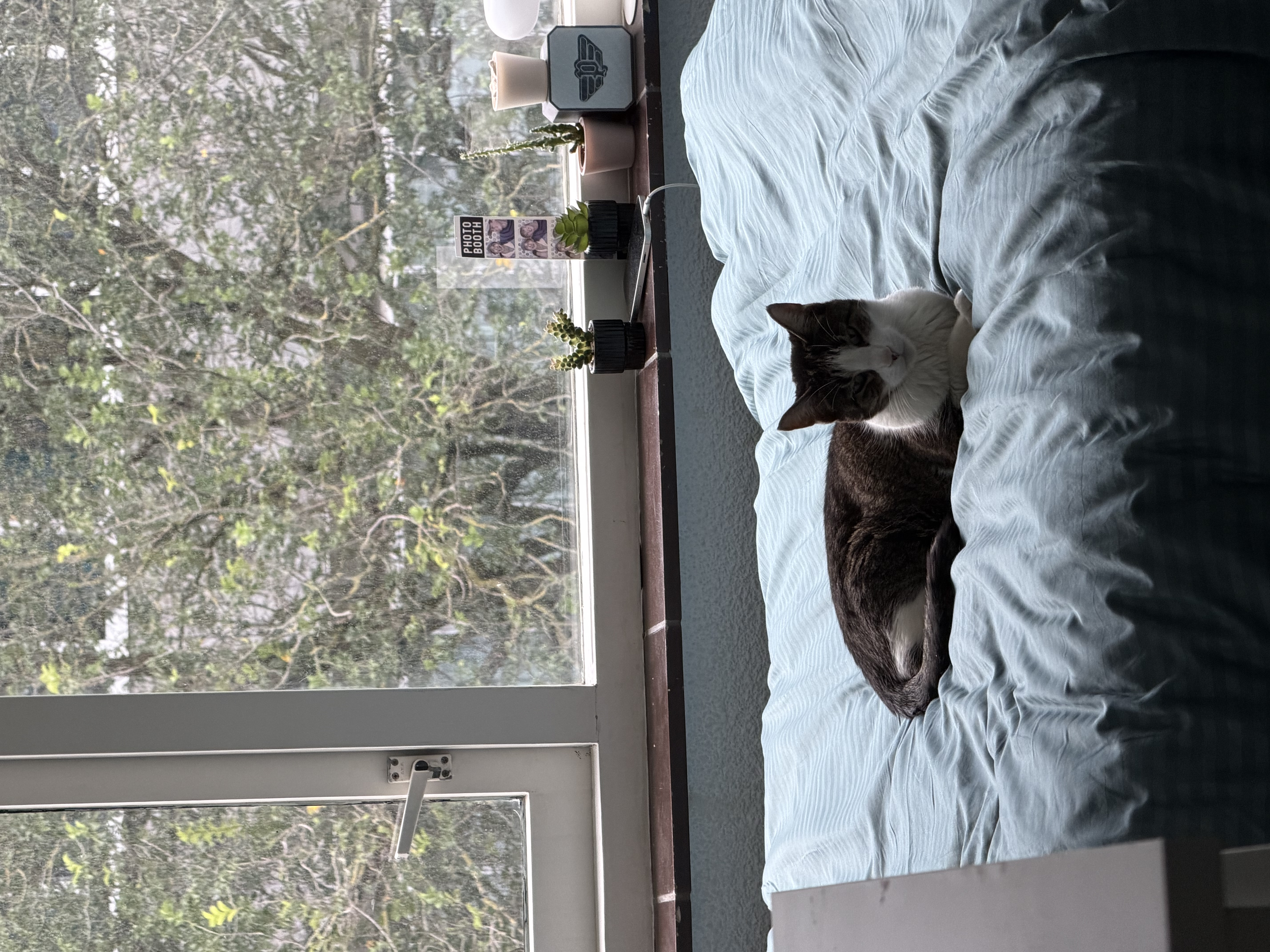 image-5