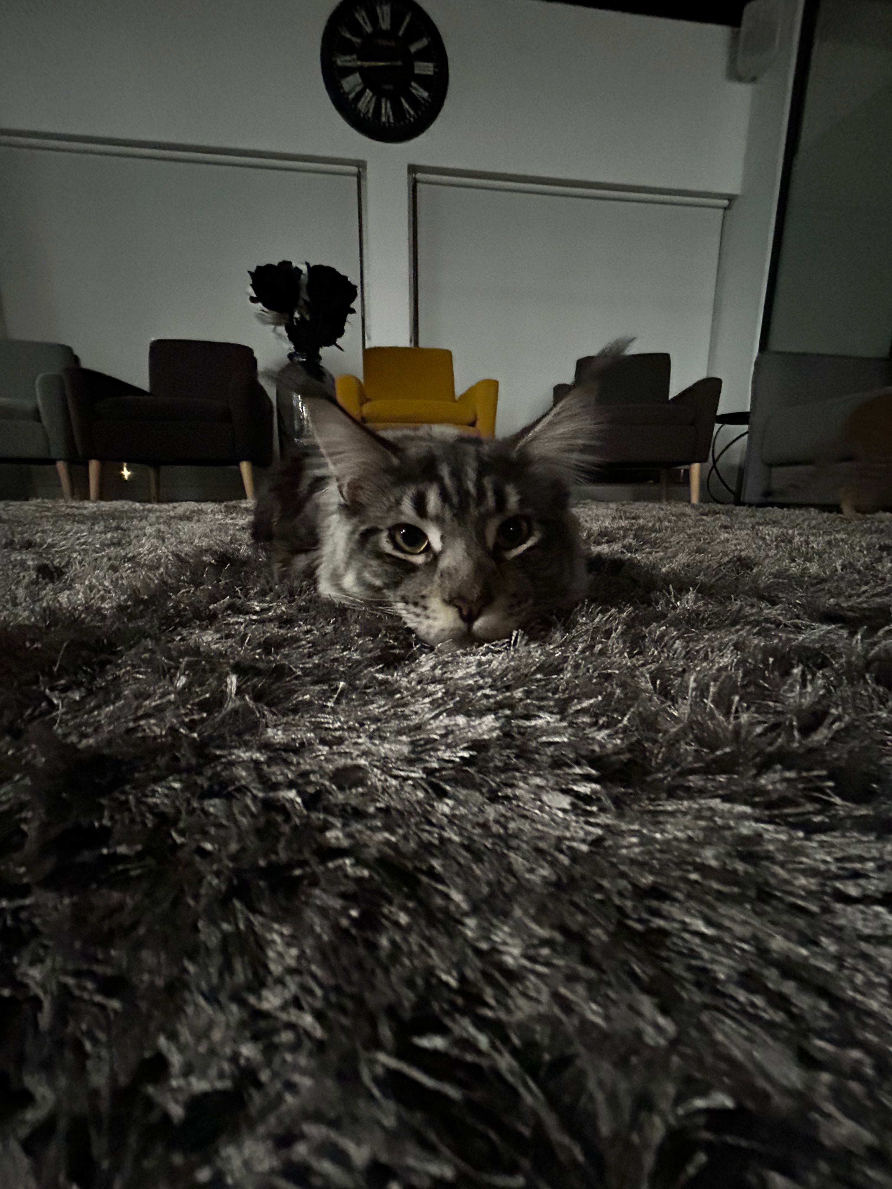 image-6