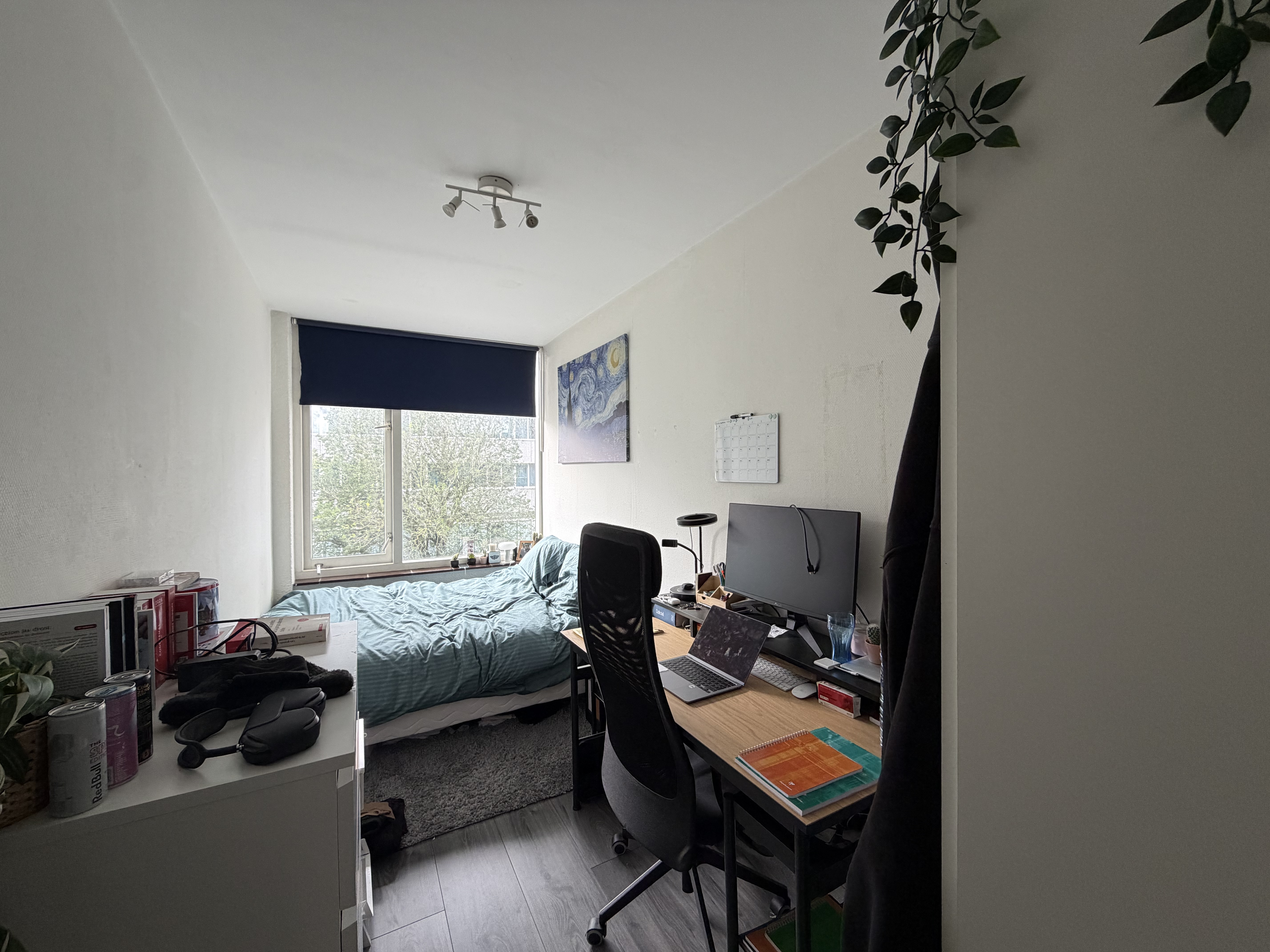 image-15