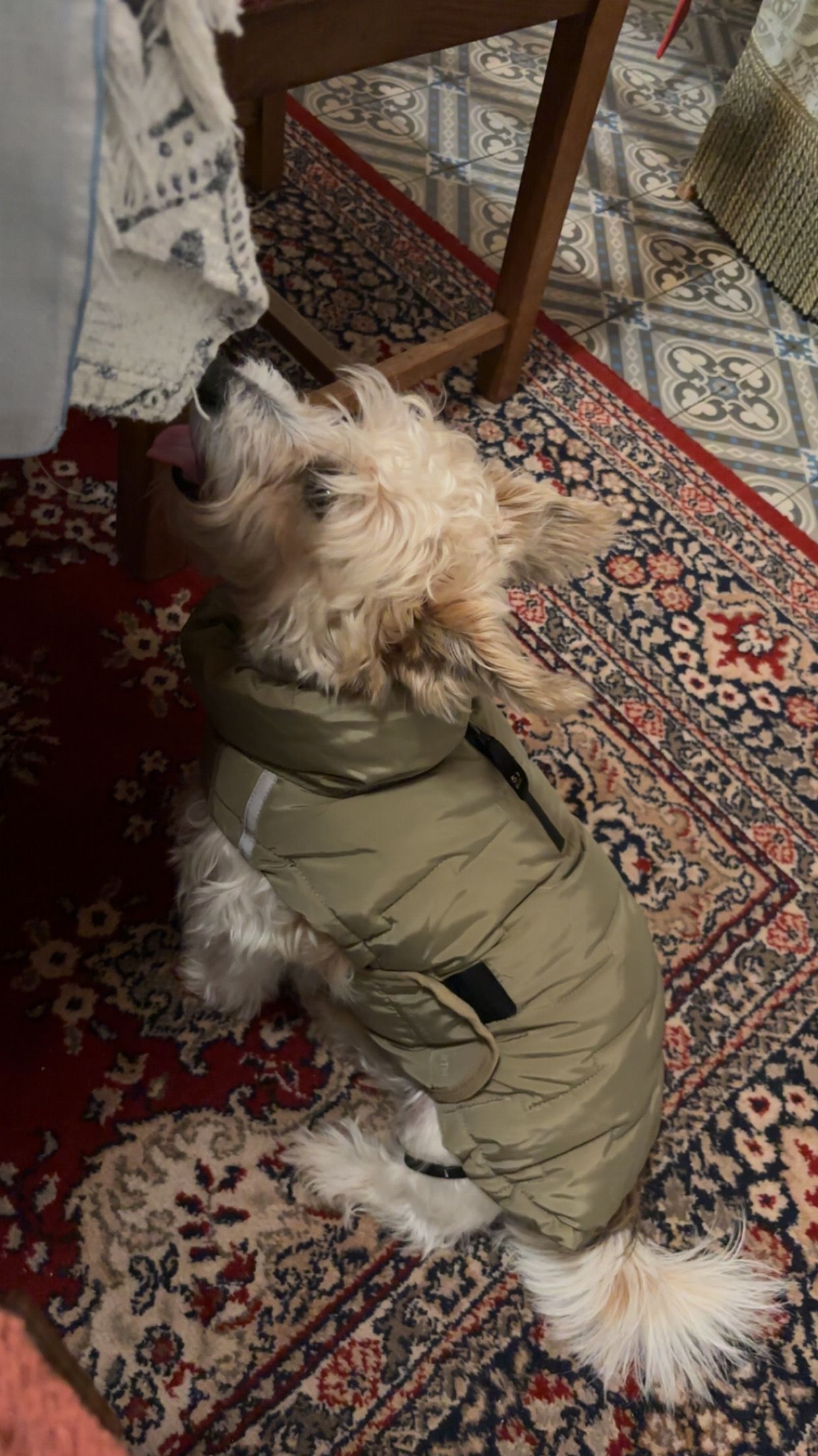 image-16