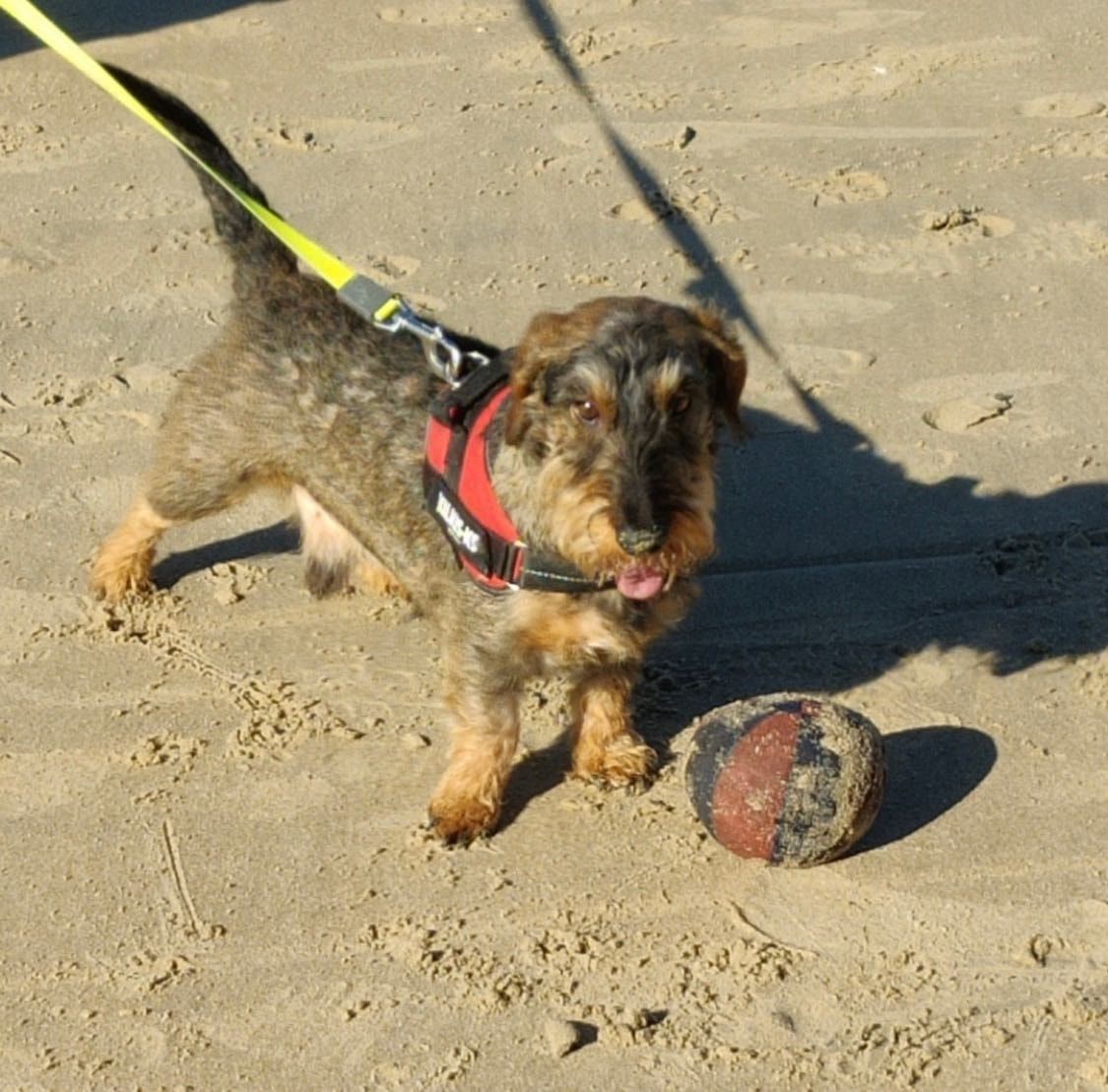 image-7