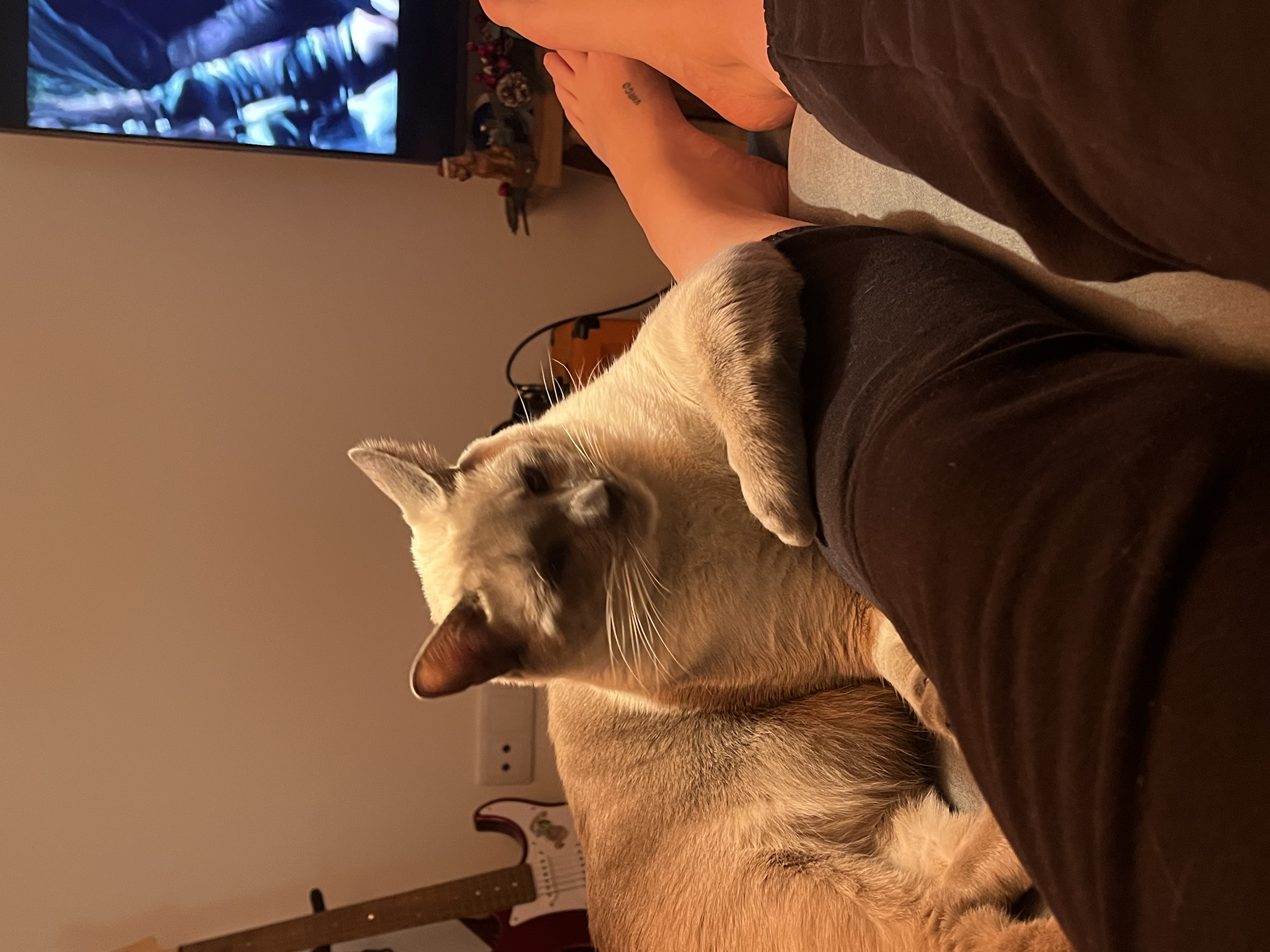 image-7