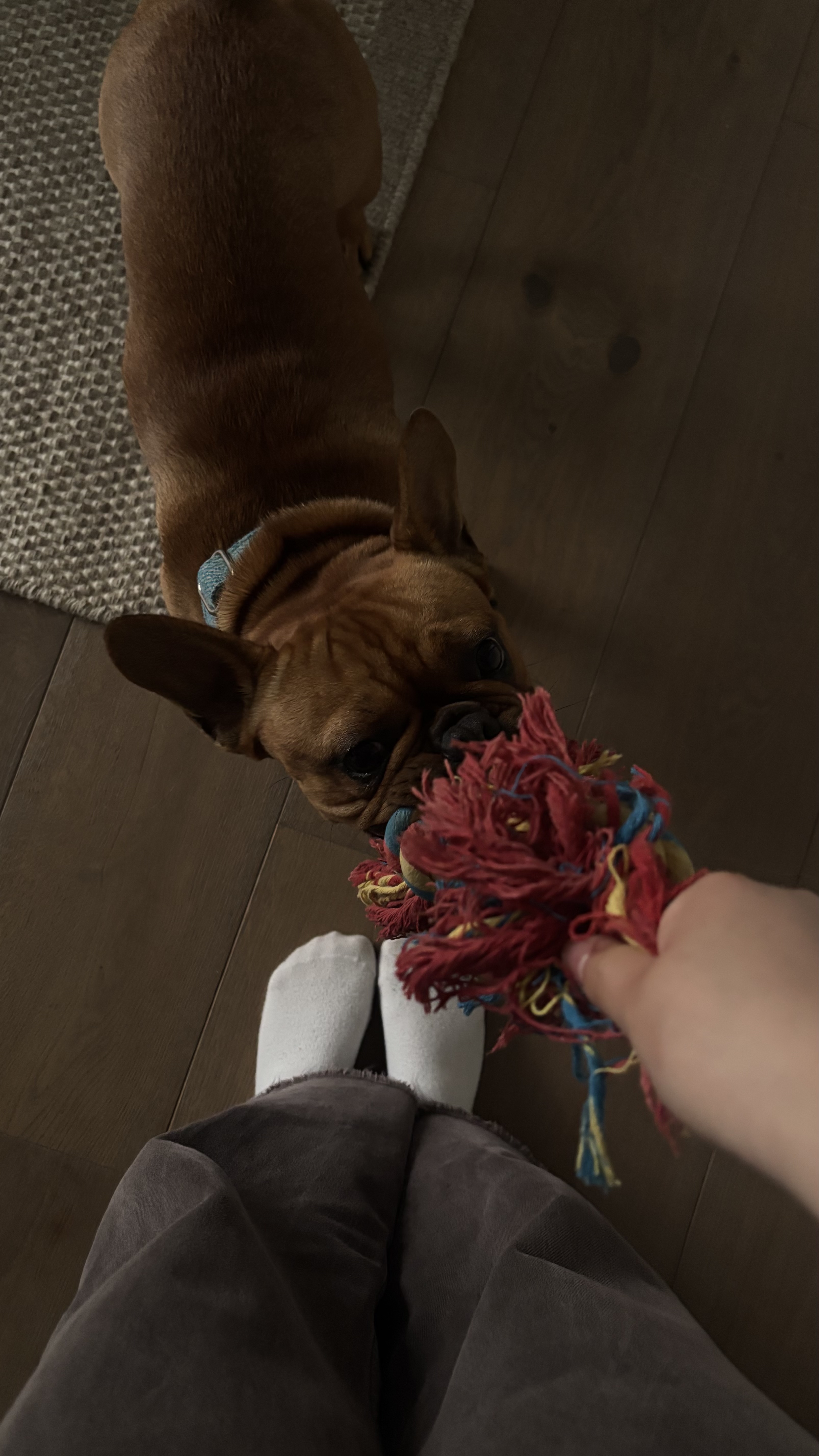 image-8