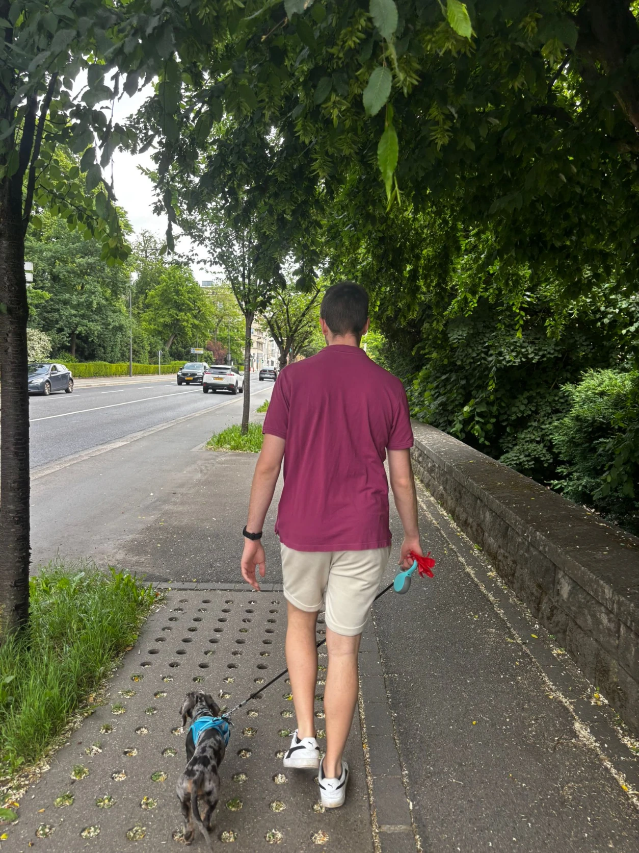 image-9