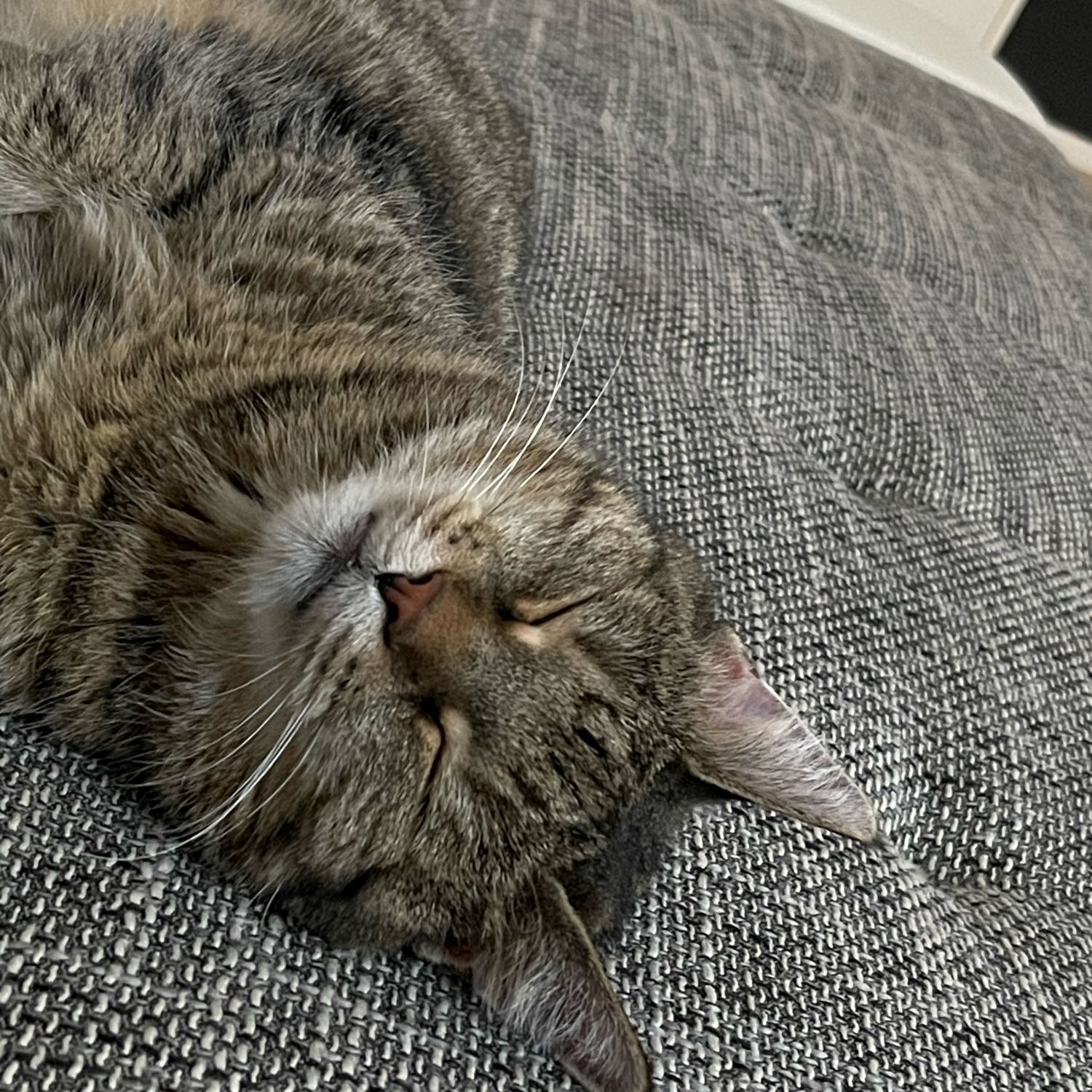 Minka