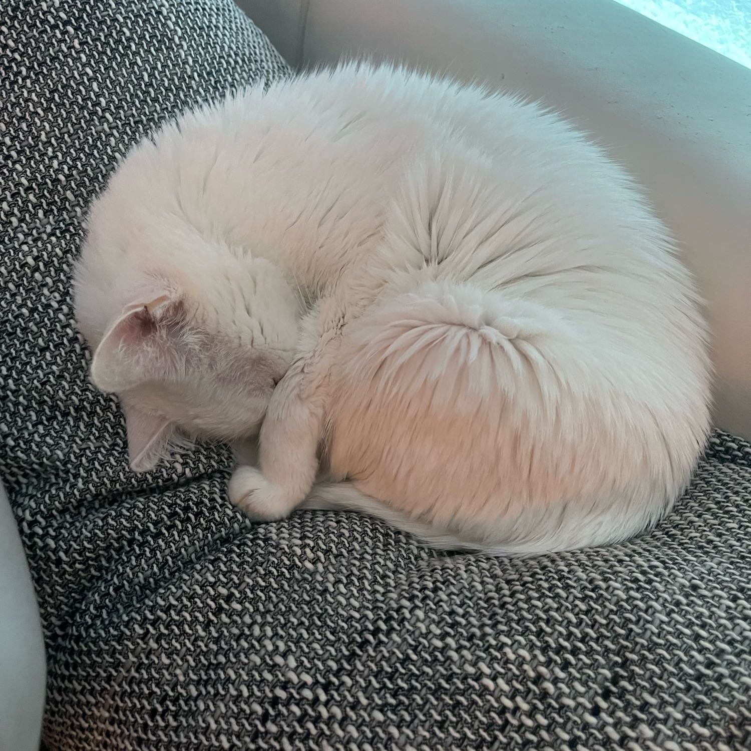 Flöckchen 