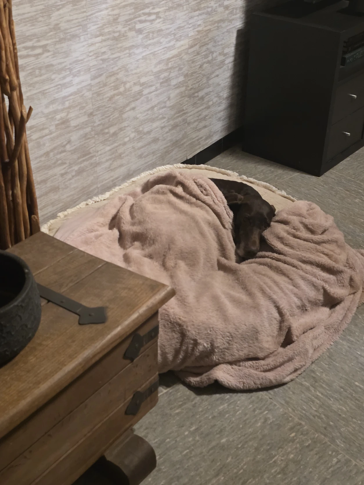 image-41