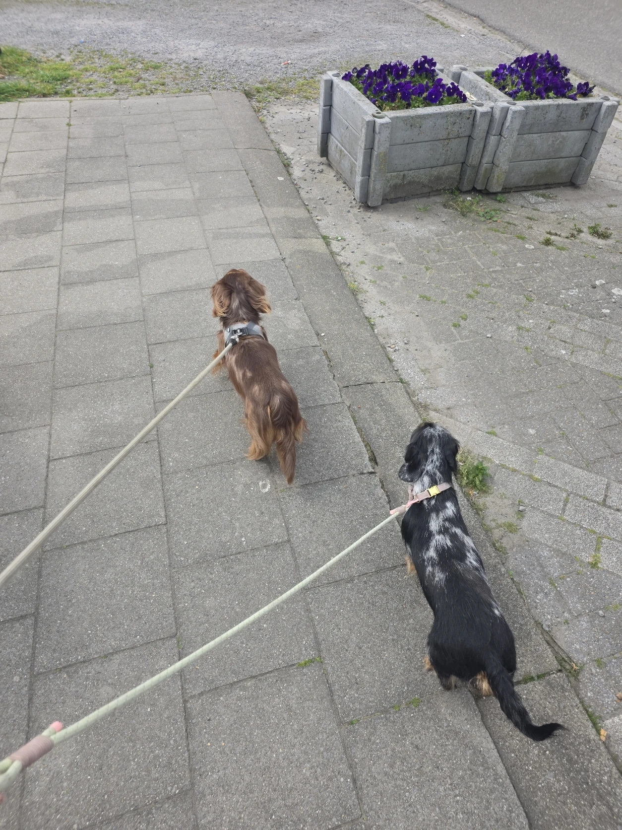 image-42
