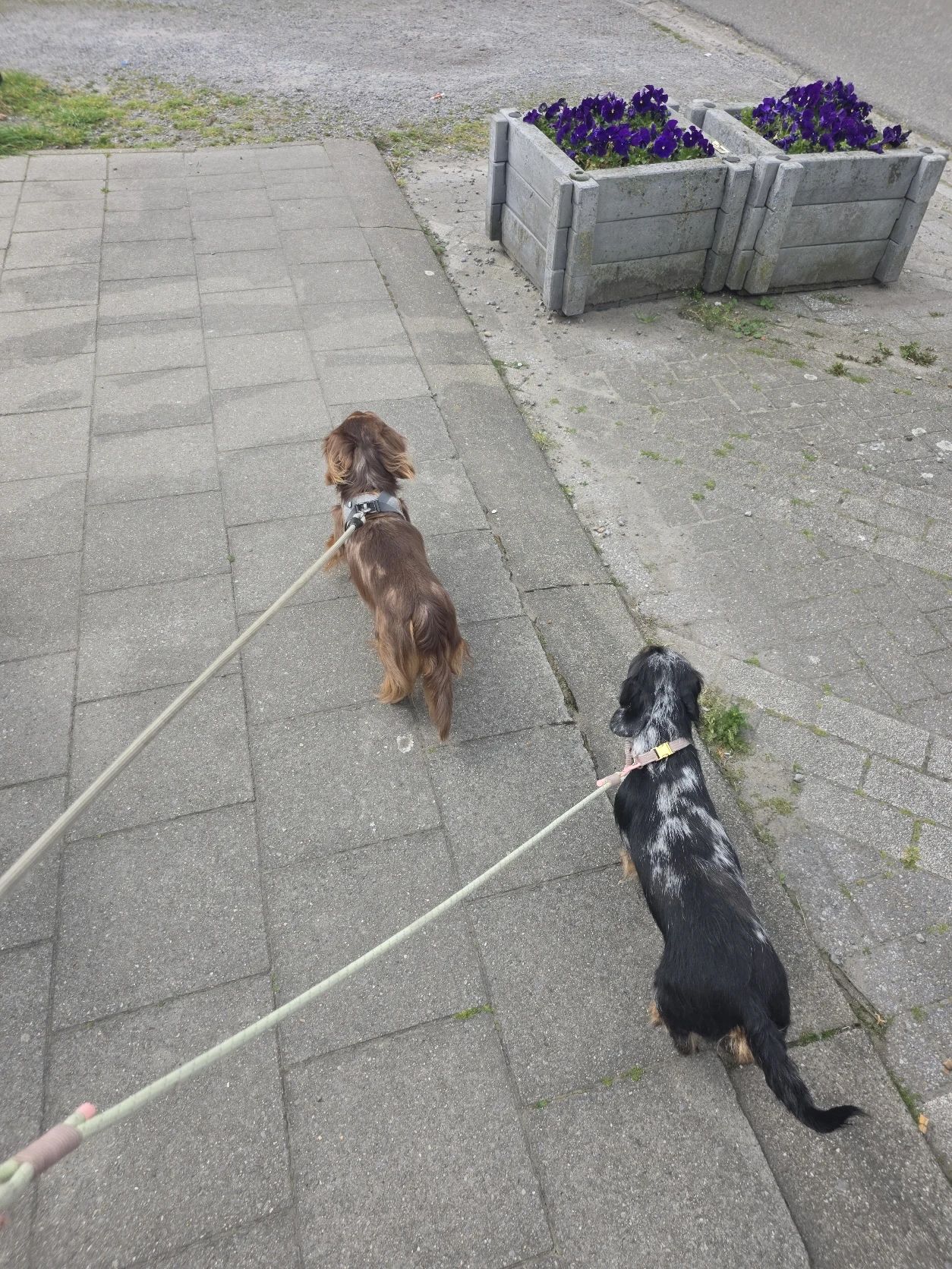 image-42