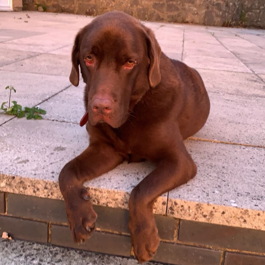 George (aka the cheese man)