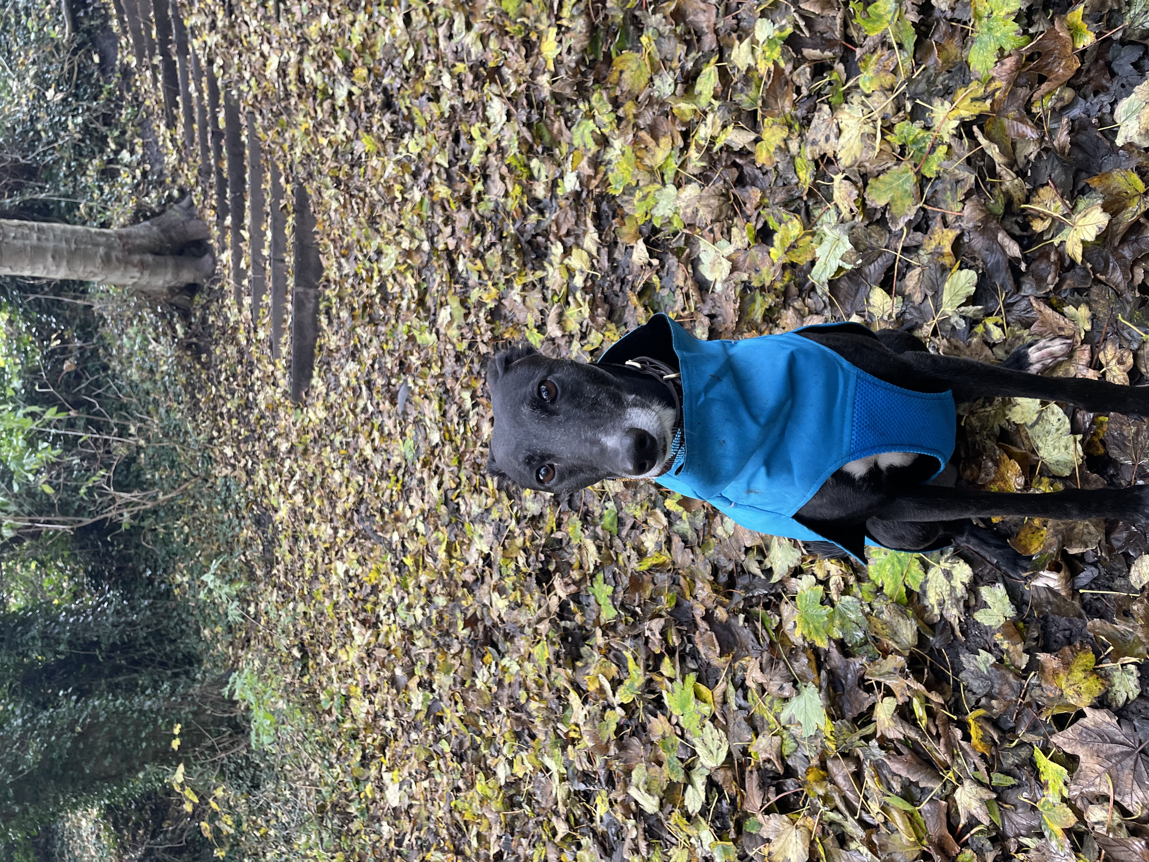 image-9