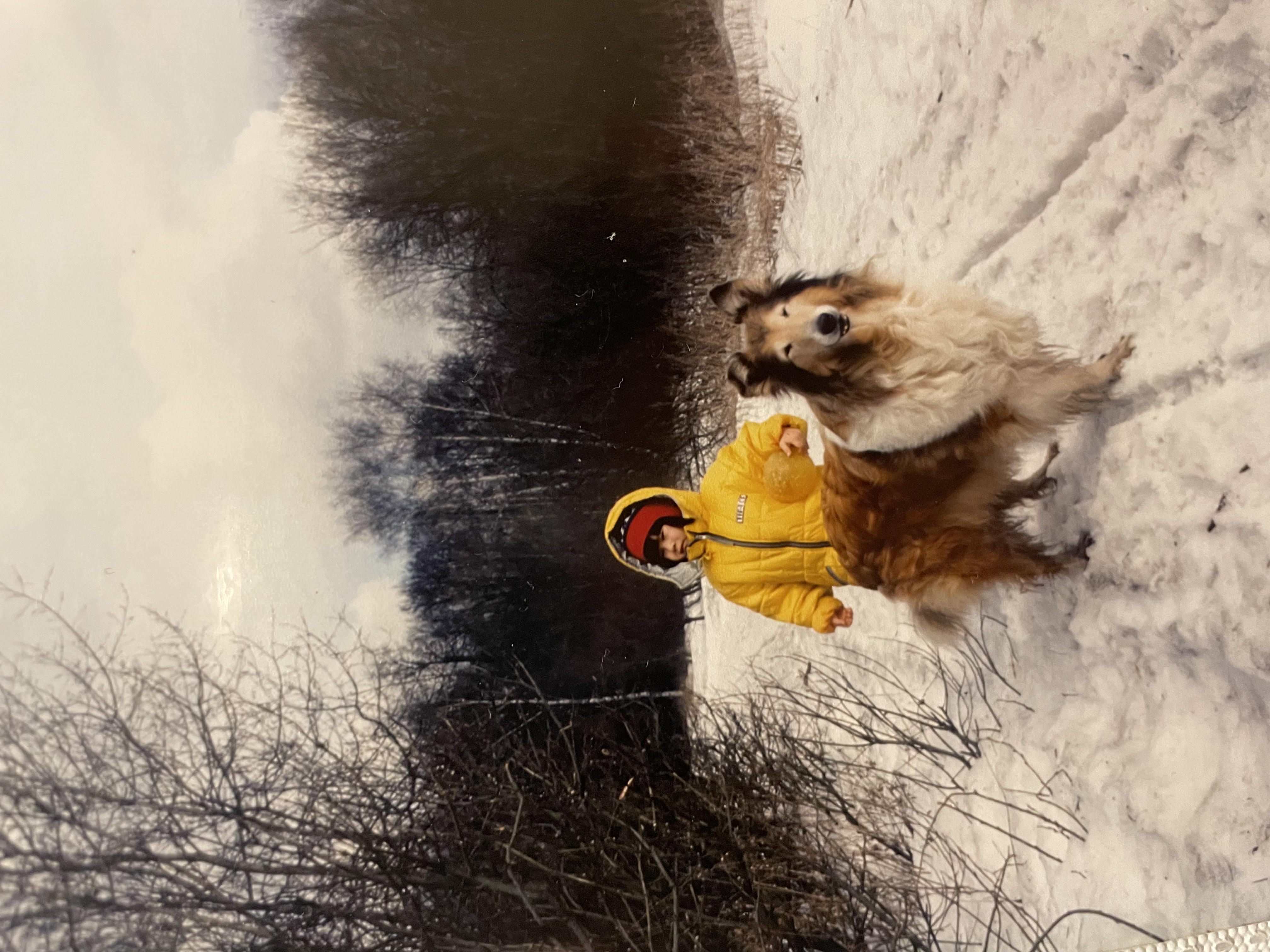 image-9