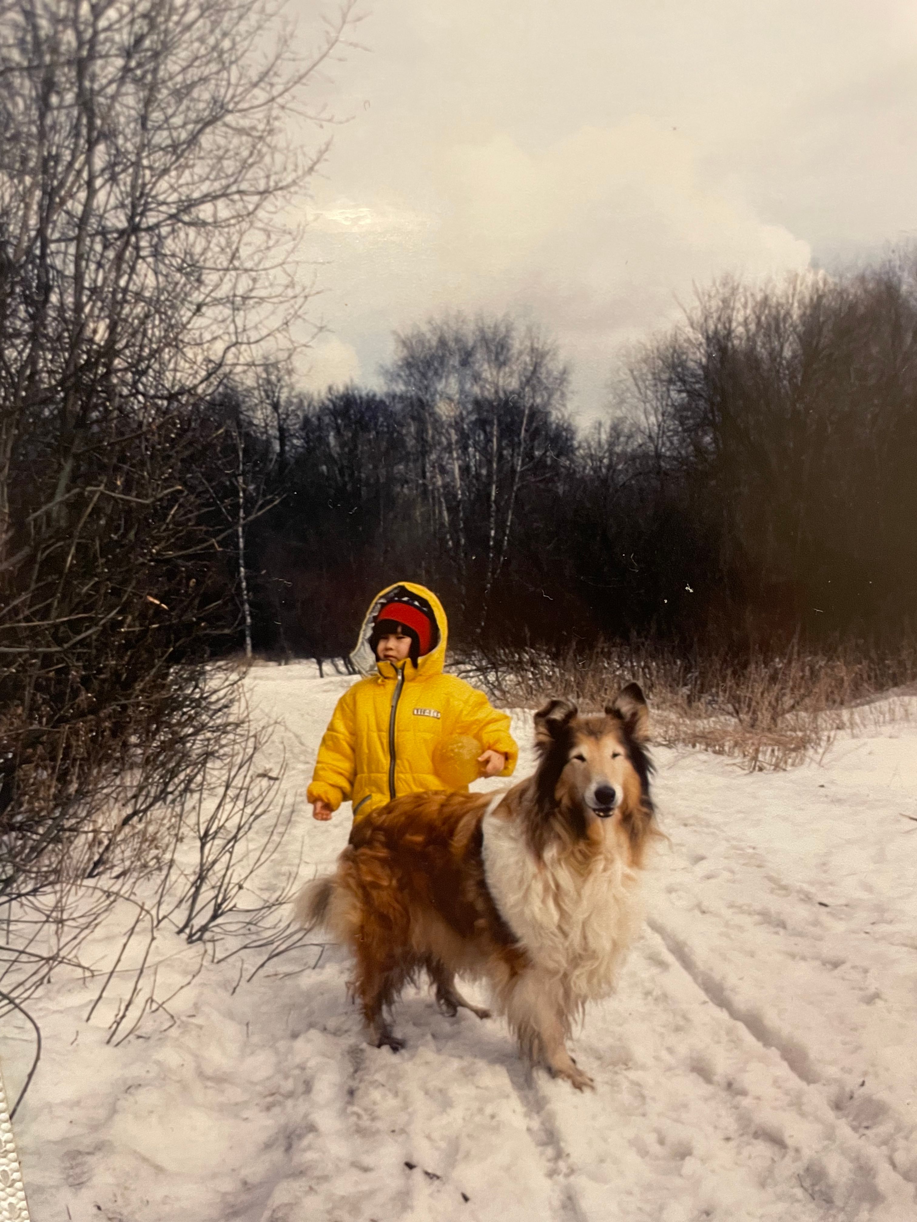image-9