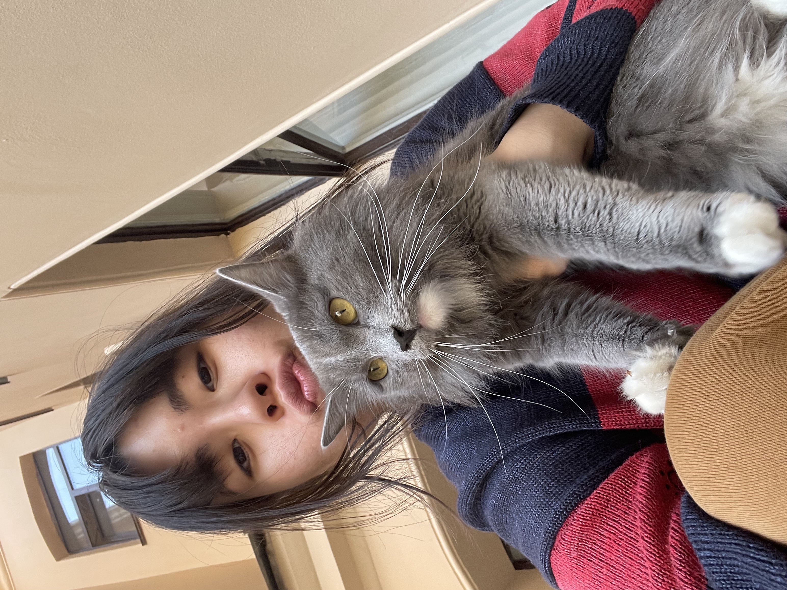 image-7