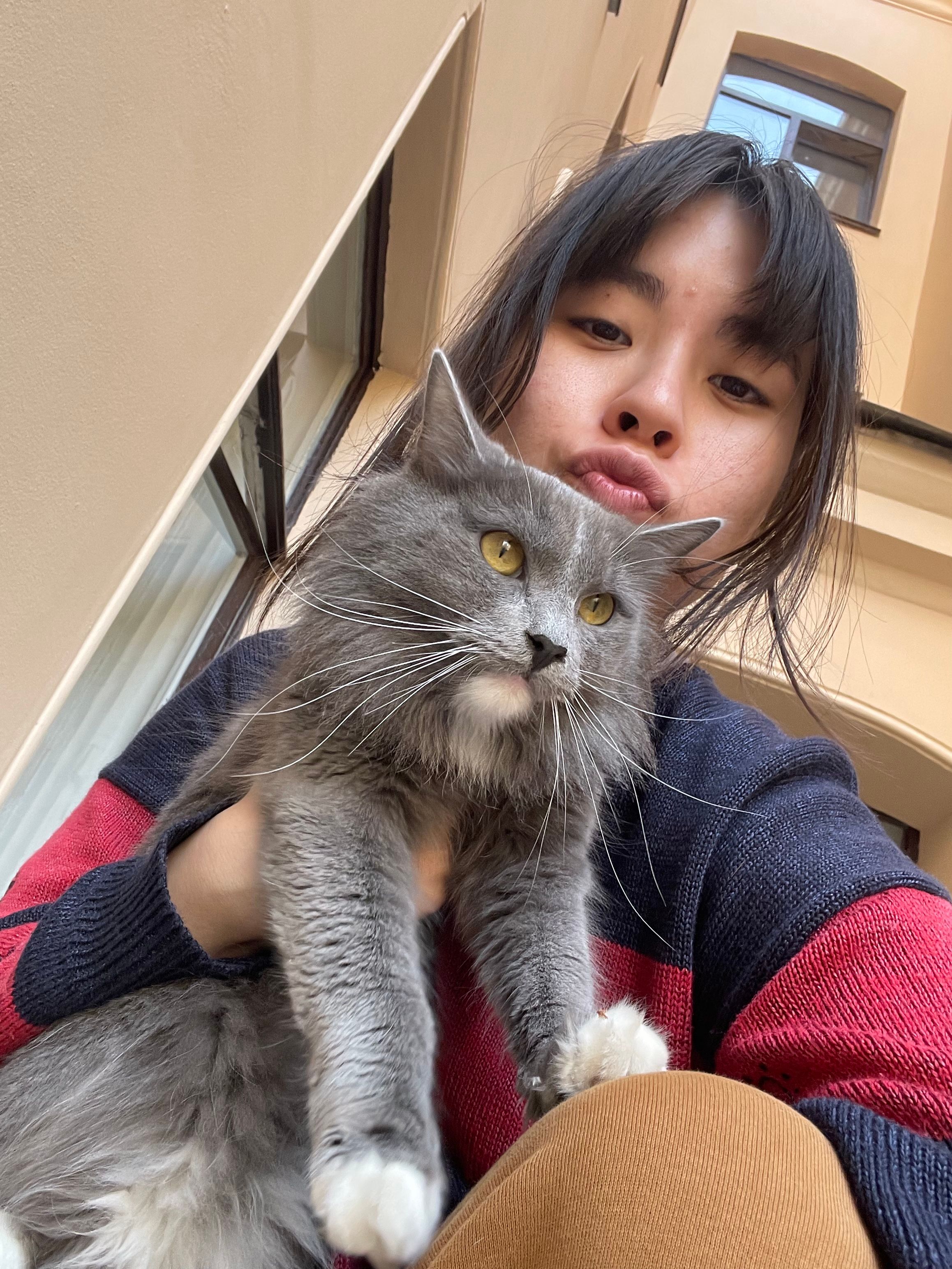 image-7