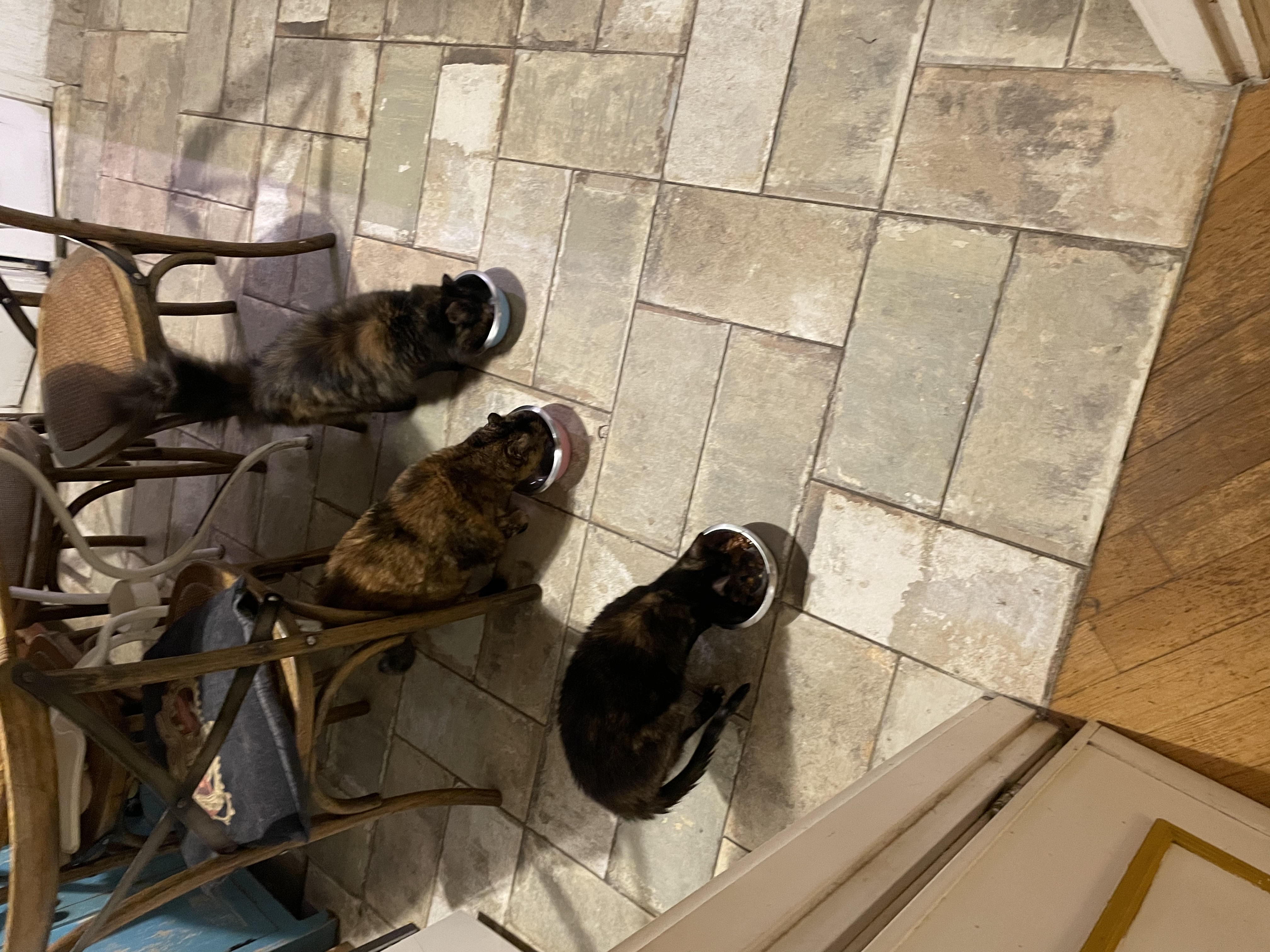 image-7