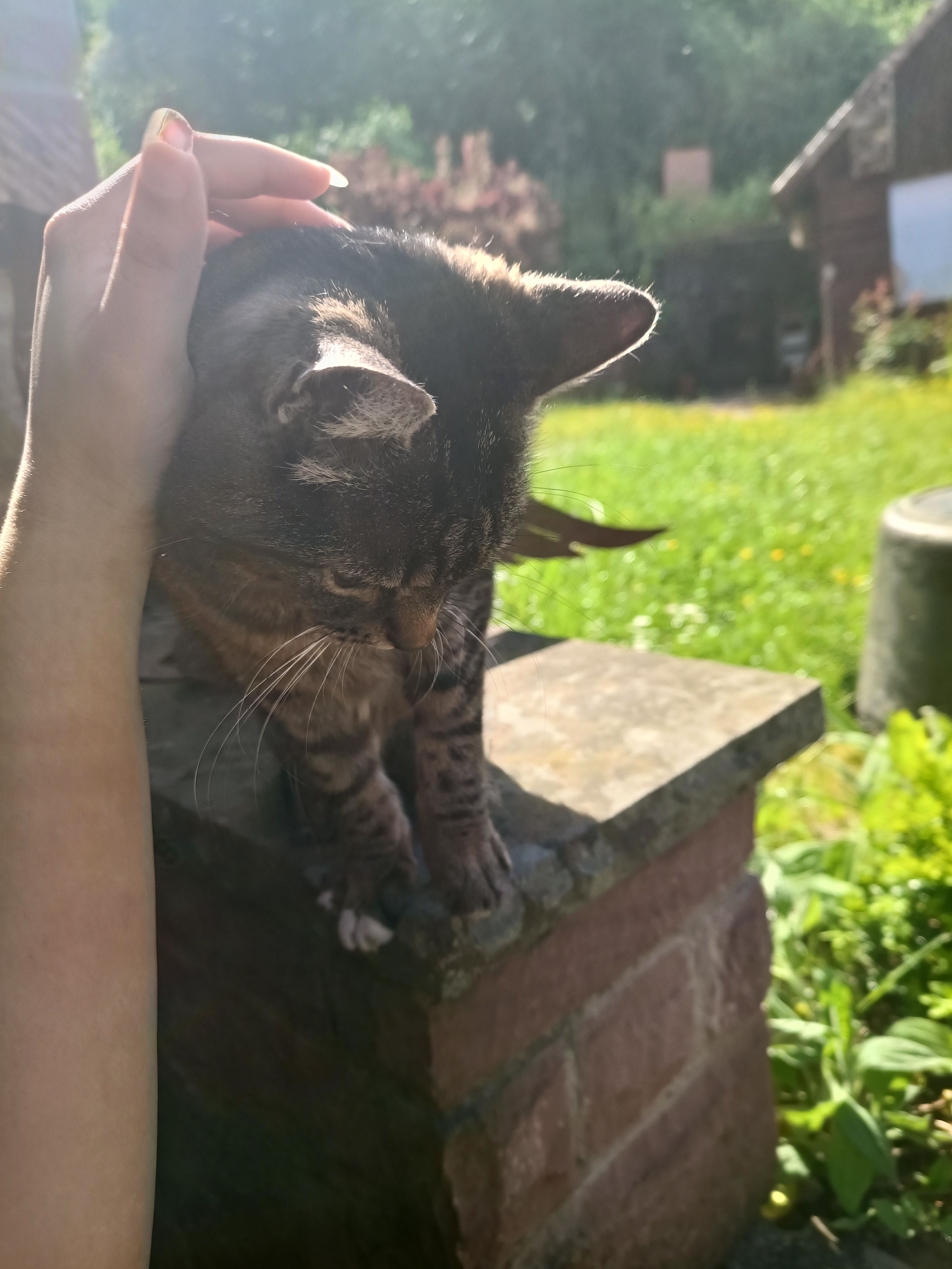 image-8