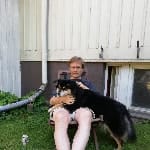 Pertti