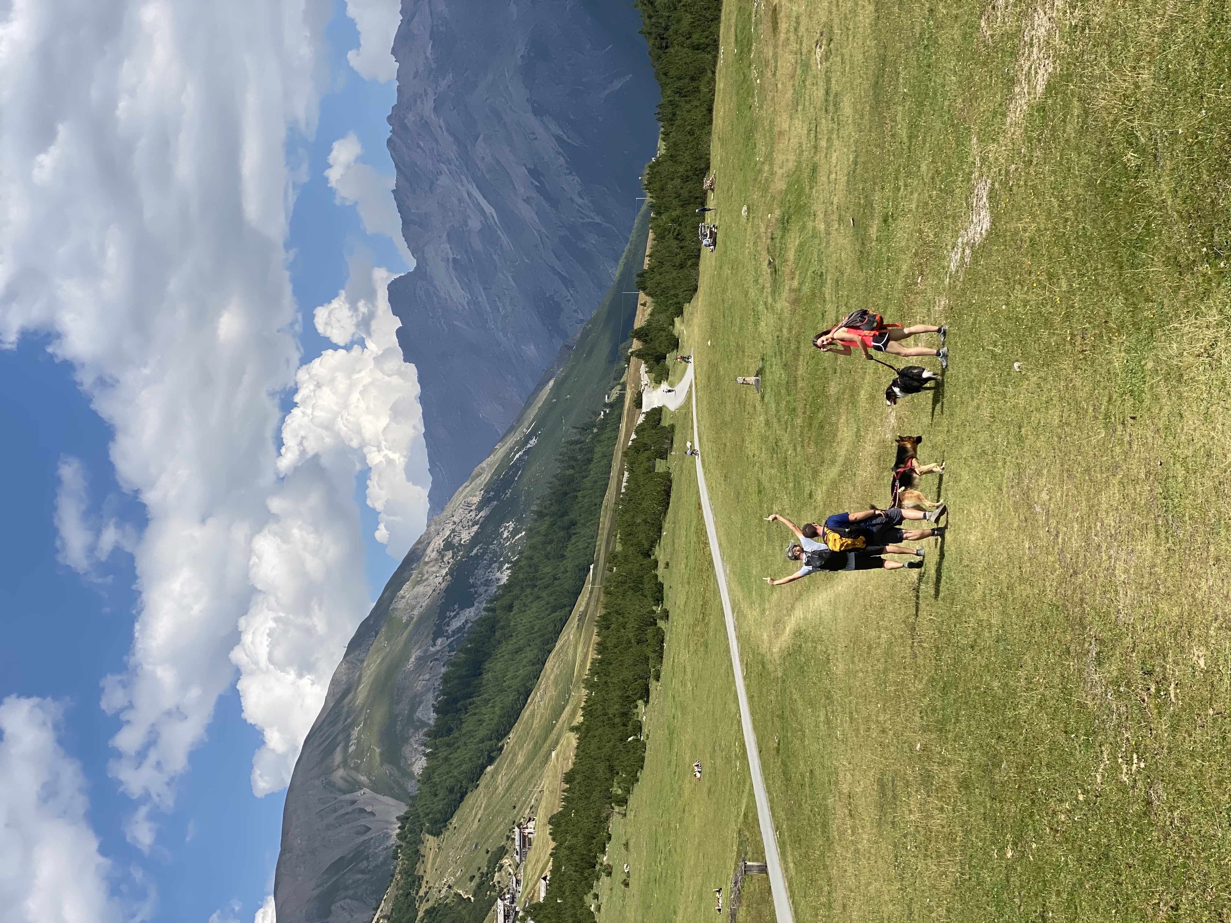 image-7