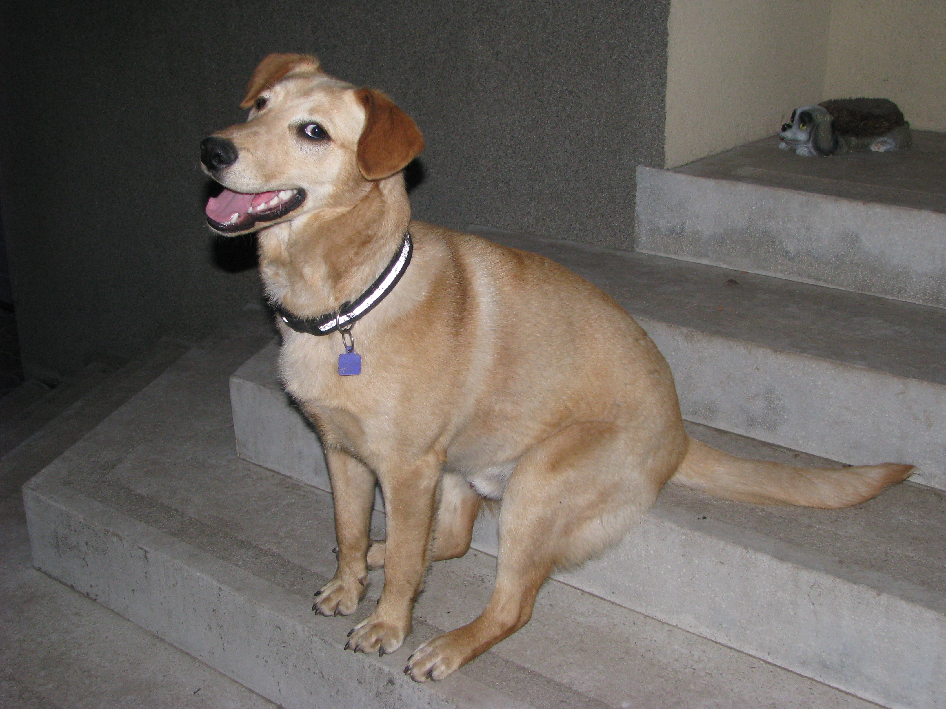 image-9