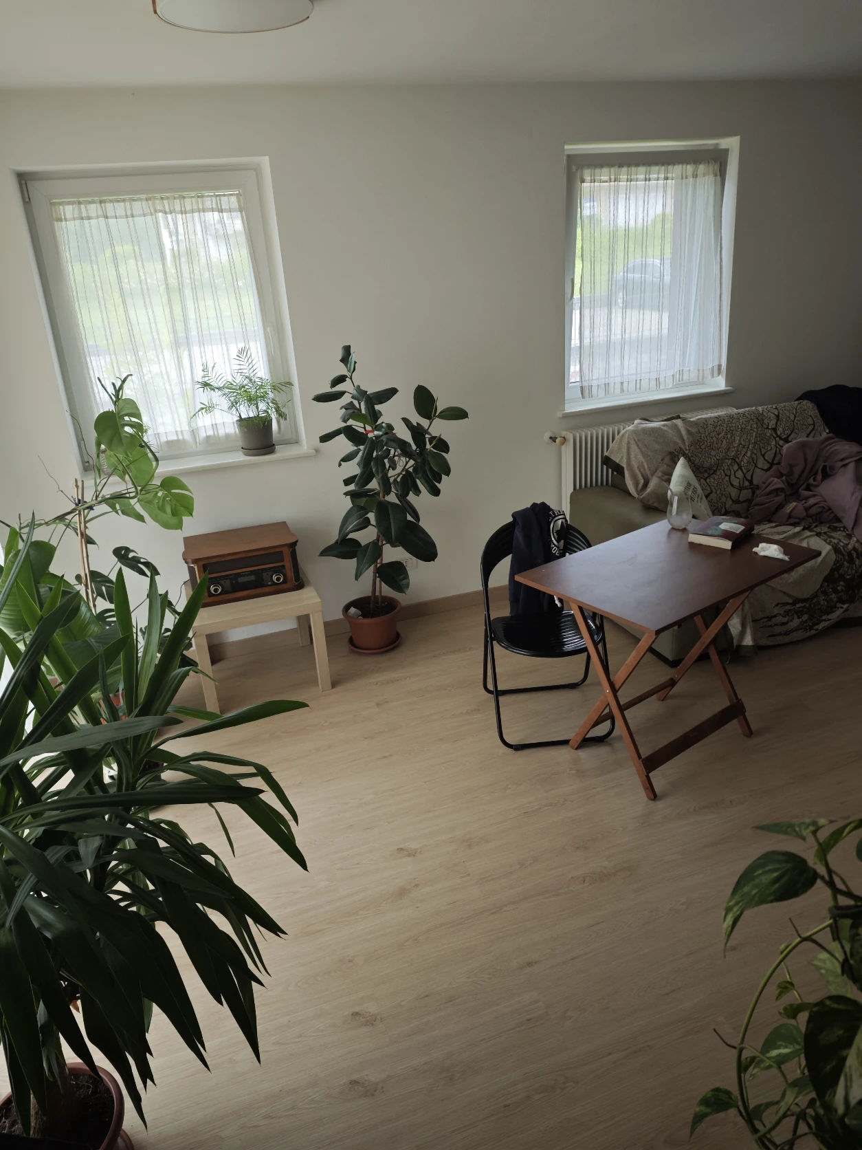 image-7