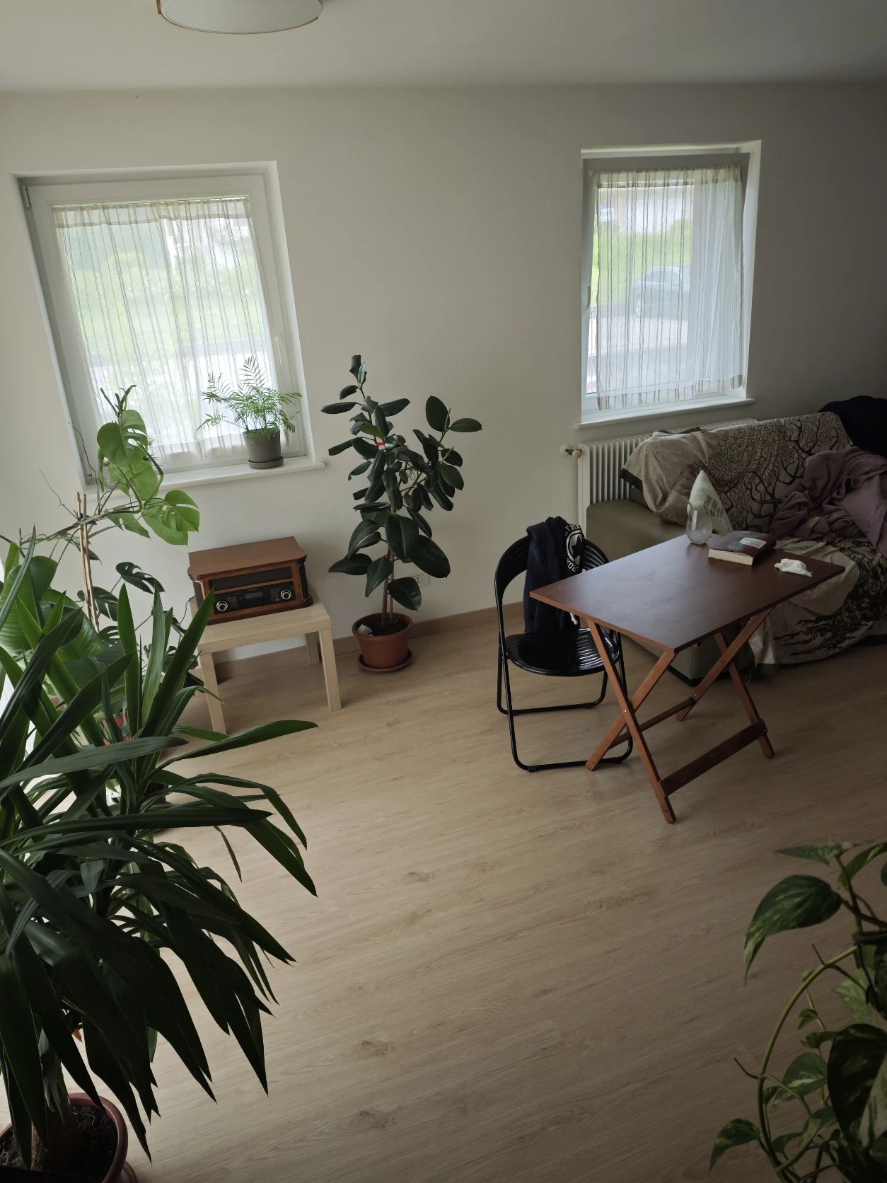 image-7
