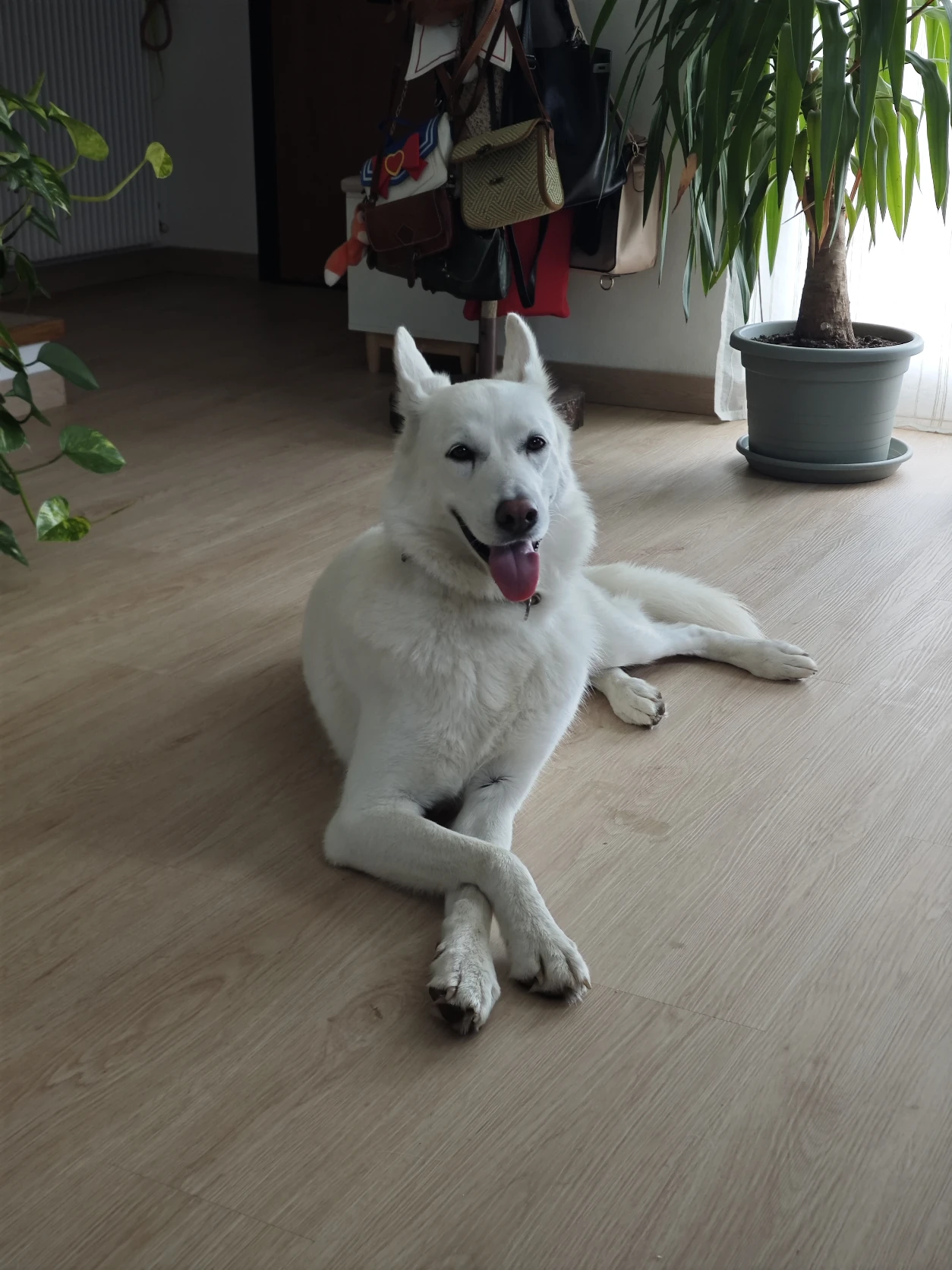 image-7