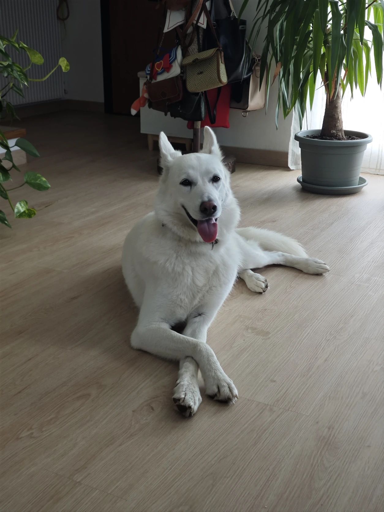 image-7