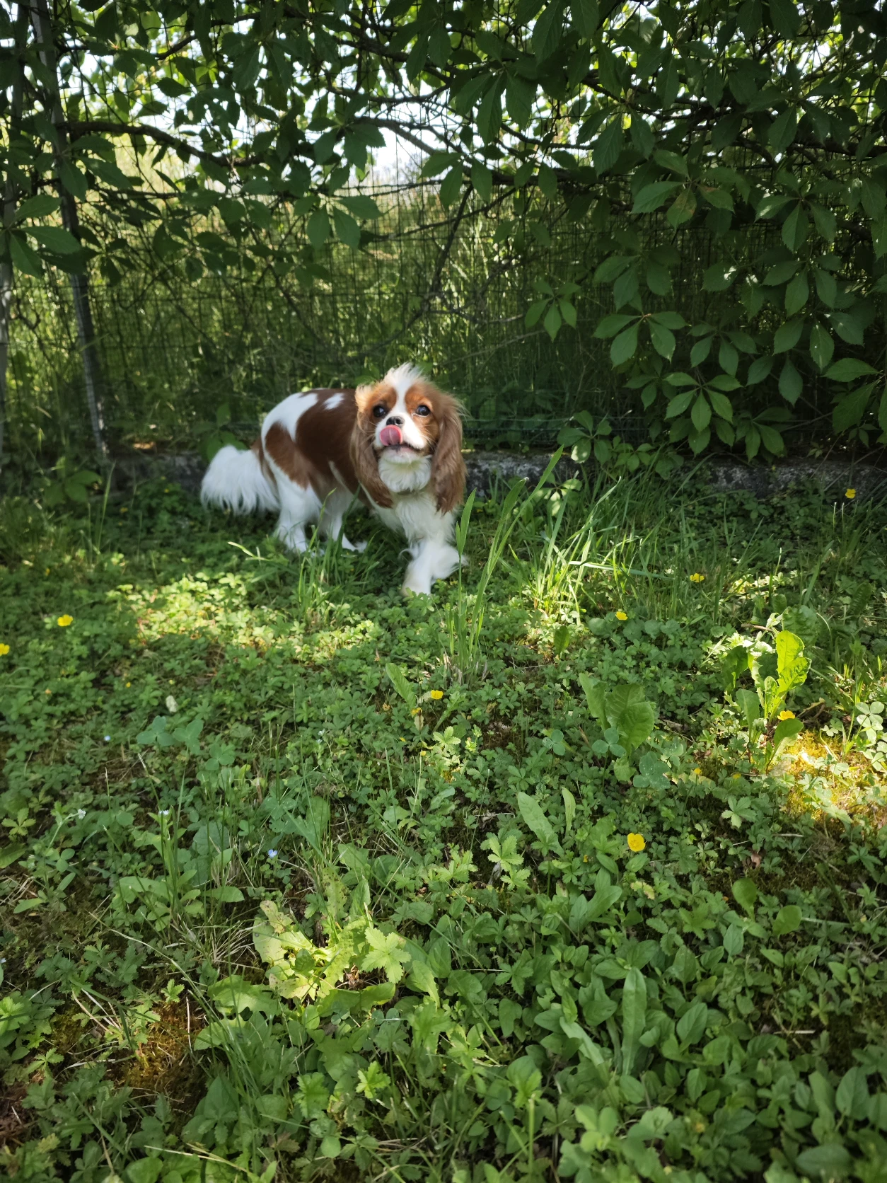 image-7